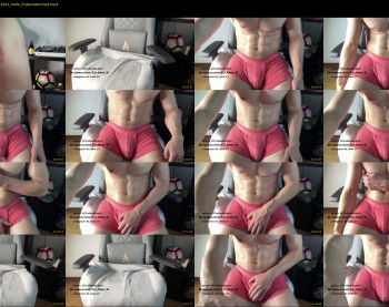 bestdick1991 — 30 minute Chaturbate male cam show recording, 720p, May 29, 2023