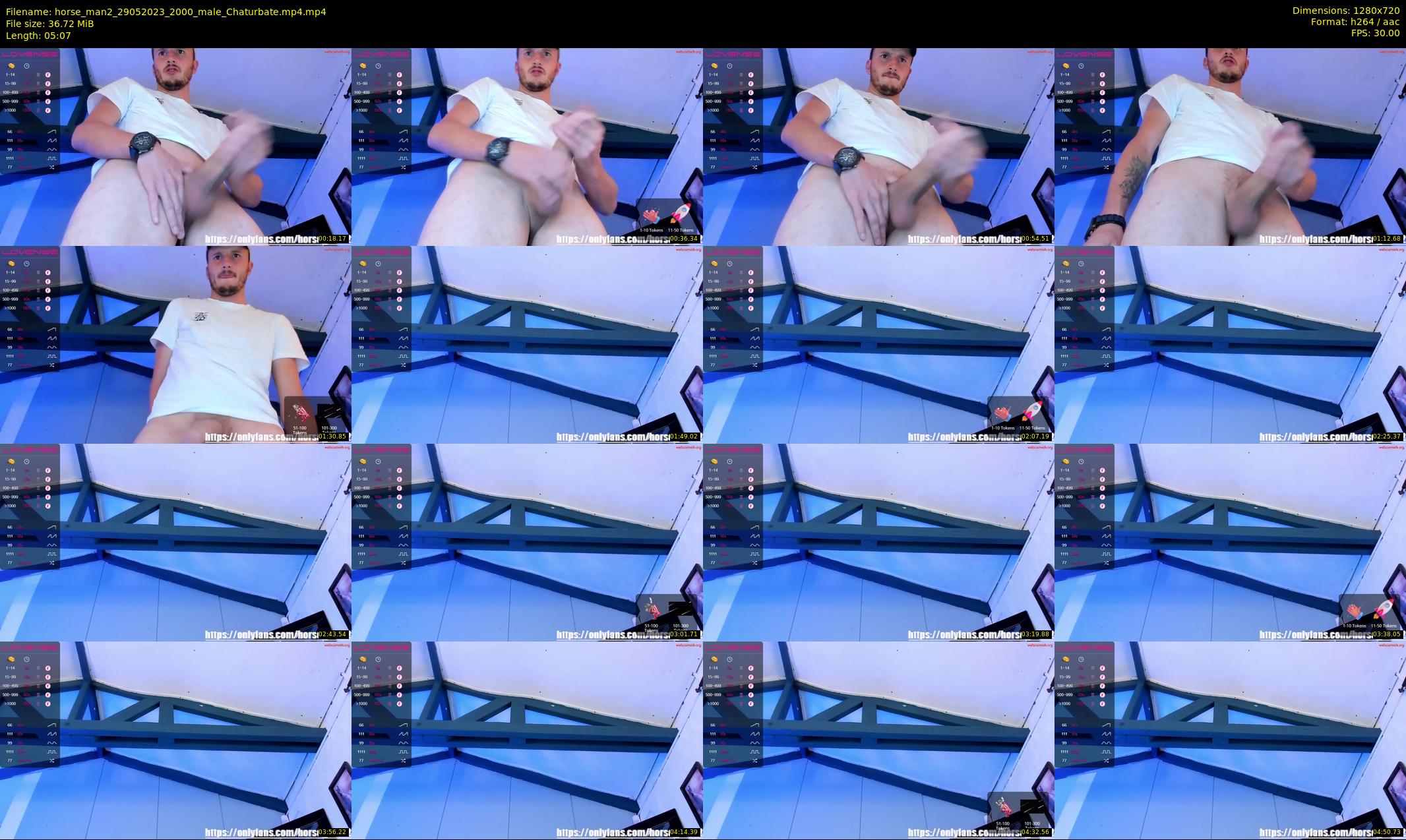 horse_man2 — 6 minute Chaturbate male cam show recording, 720p, May 29, 2023
