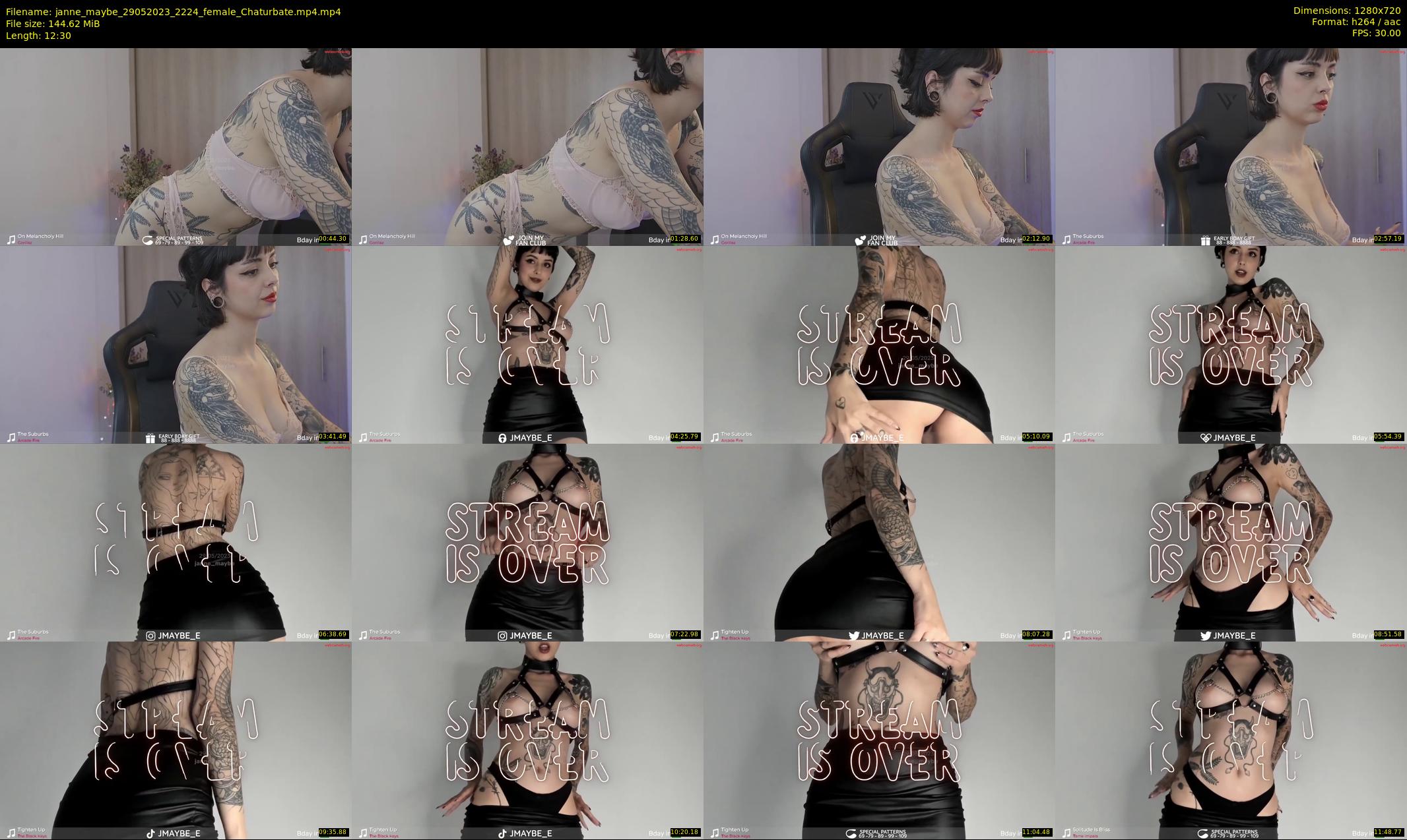 janne_maybe — 13 minute Chaturbate female cam show recording, 720p, May 29, 2023