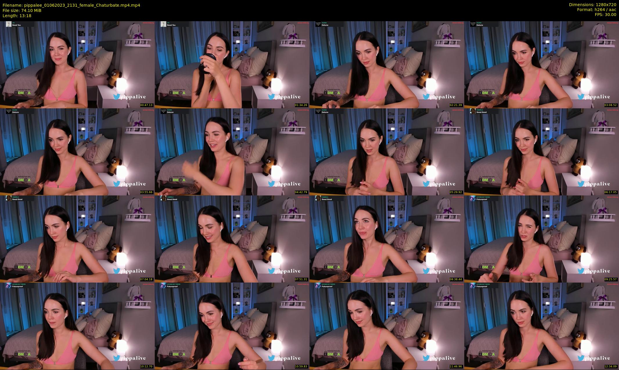 pippalee — 14 minute Chaturbate female cam show recording, 720p, Jun 1, 2023