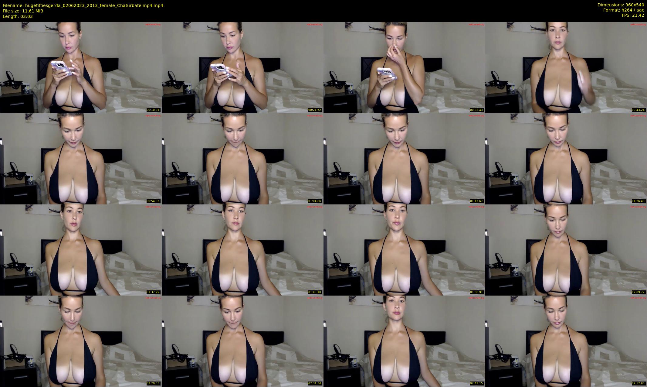 hugetittiesgerda — 4 minute Chaturbate female cam show recording, 480p, Jun 2, 2023