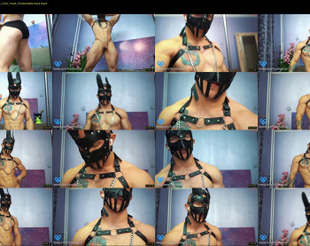 technohotgod — 13 minute Chaturbate male cam show recording, 720p, Jun 2, 2023