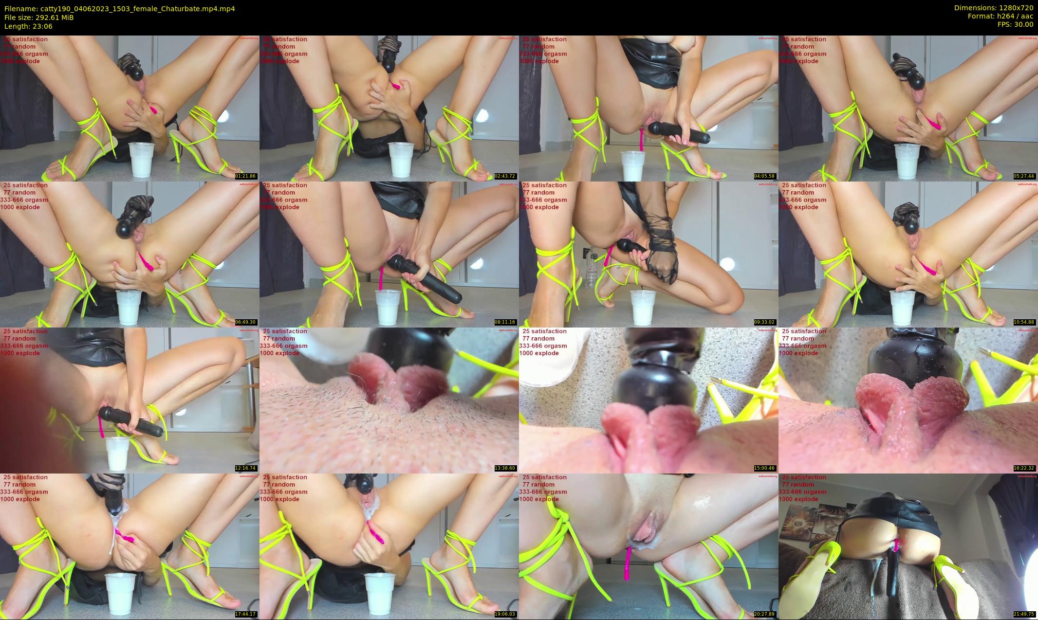 catty190 — 24 minute Chaturbate female cam show recording, 720p, Jun 4, 2023