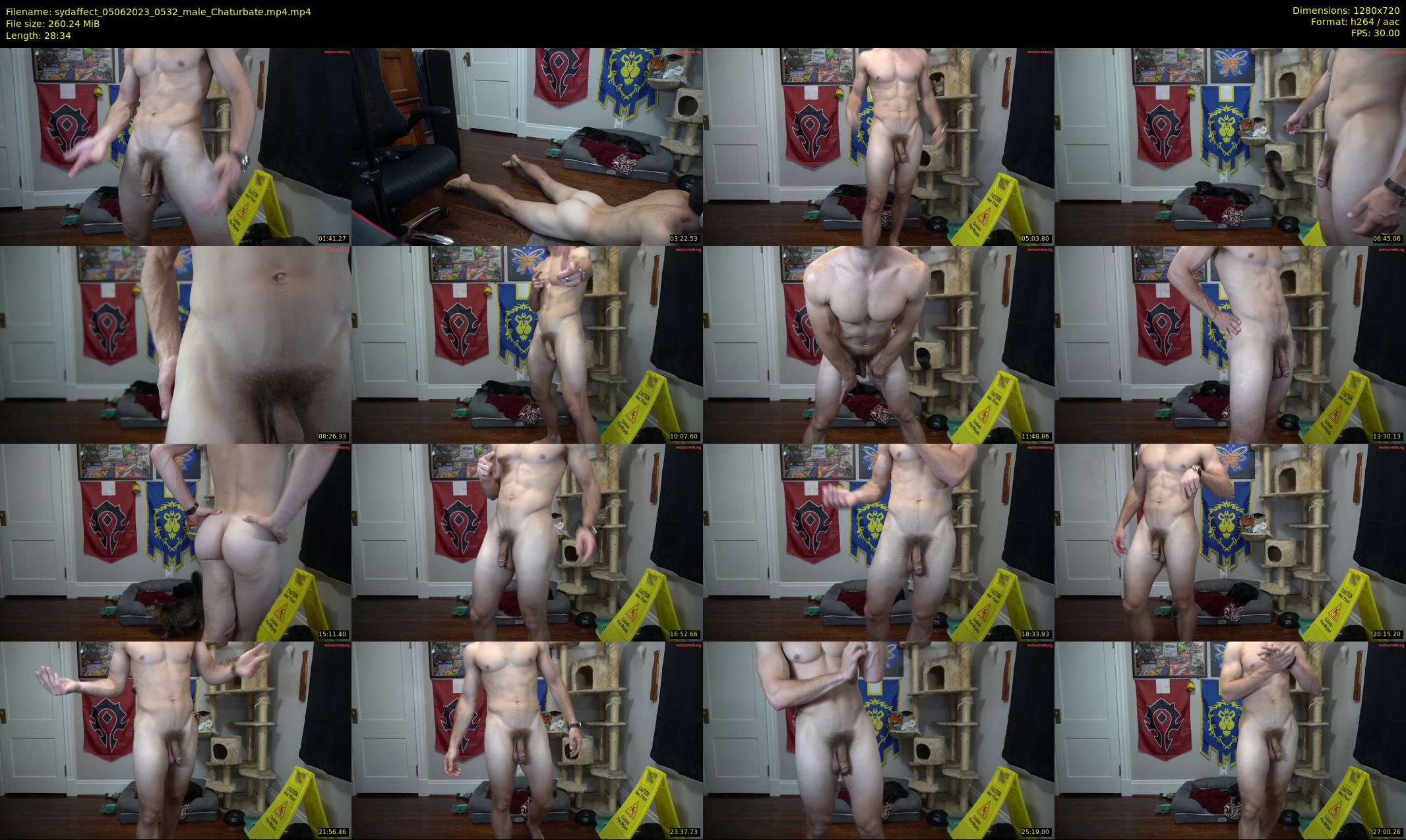 sydaffect — 29 minute Chaturbate male cam show recording, 720p, Jun 5, 2023