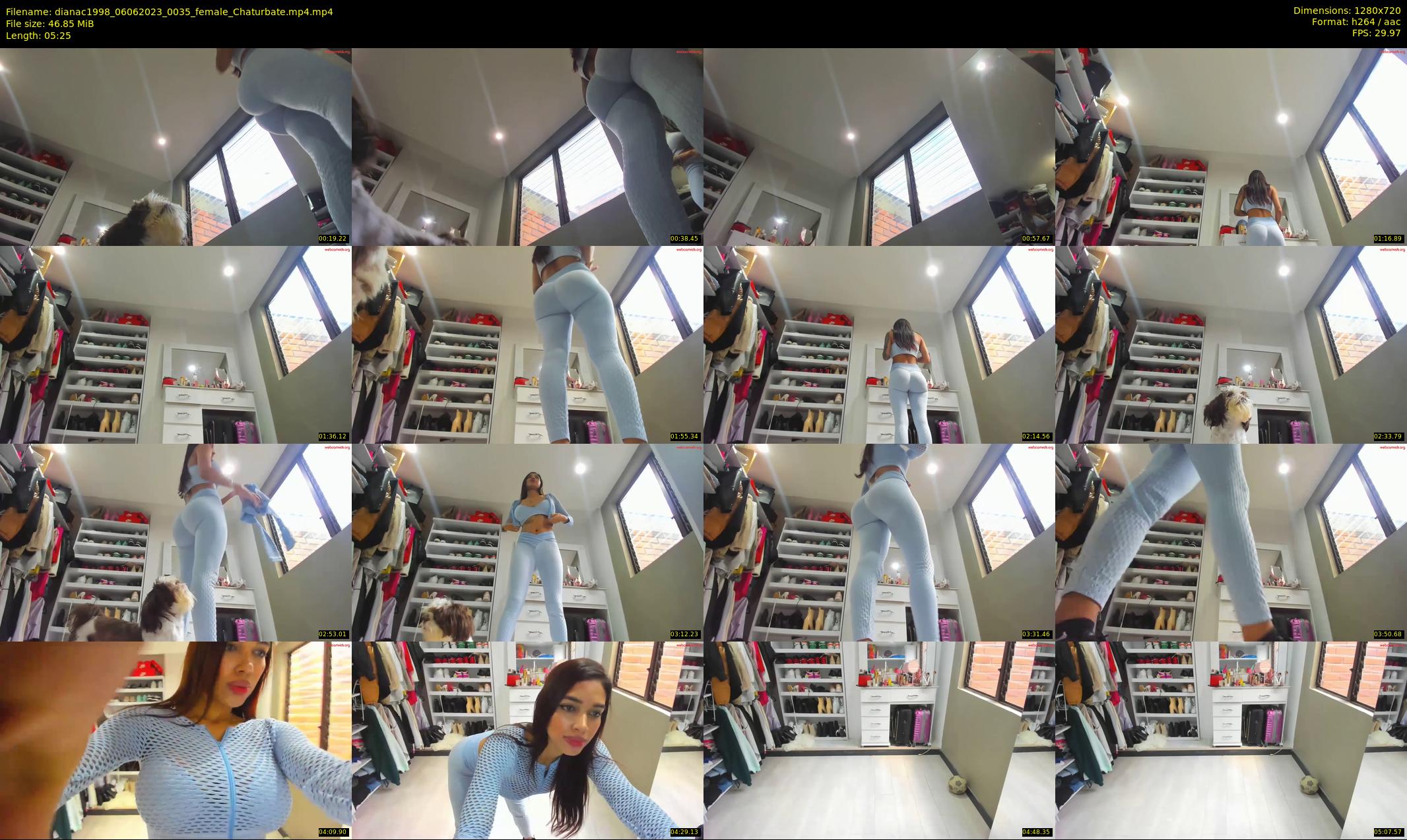 dianac1998 — 6 minute Chaturbate female cam show recording, 720p, Jun 6, 2023