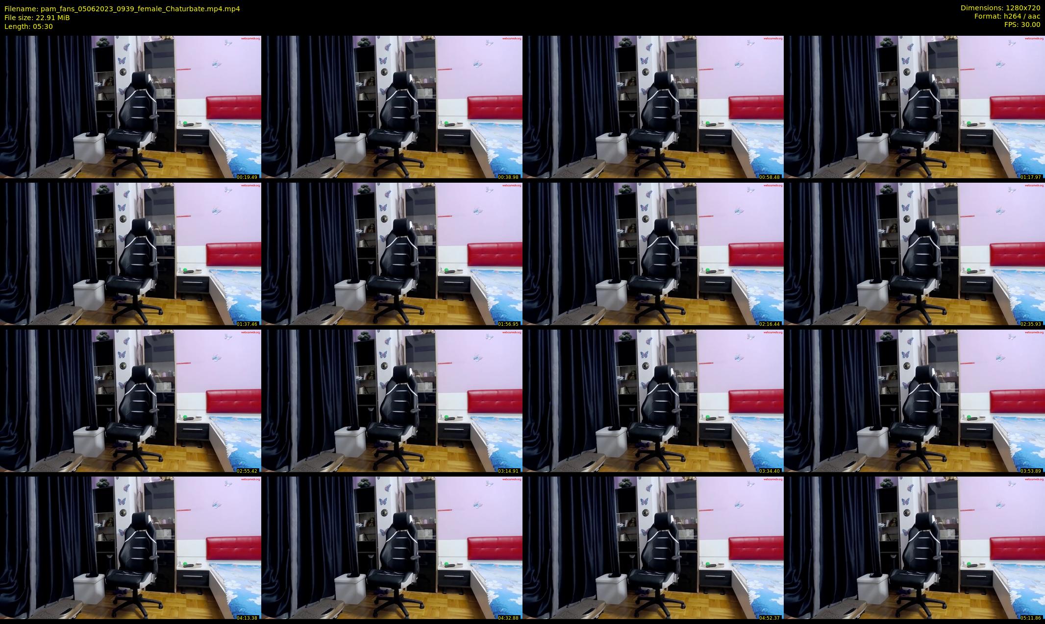 pam_fans — 6 minute Chaturbate female cam show recording, 720p, Jun 5, 2023
