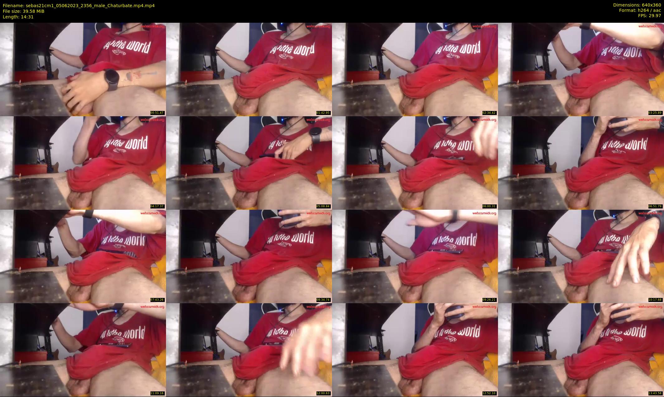 sebas21cm1 — 15 minute Chaturbate male cam show recording, 360p, Jun 5, 2023
