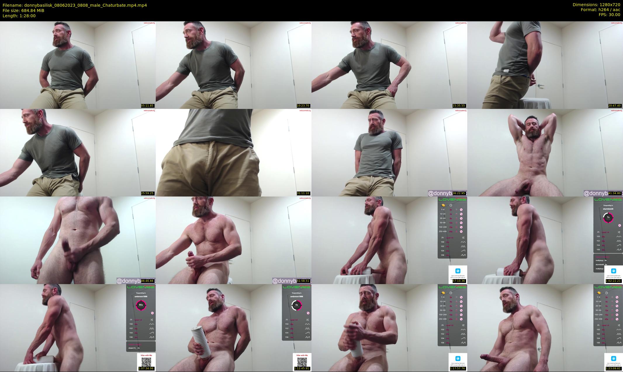 donnybasilisk — 88 minute Chaturbate male cam show recording, 720p, Jun 8, 2023