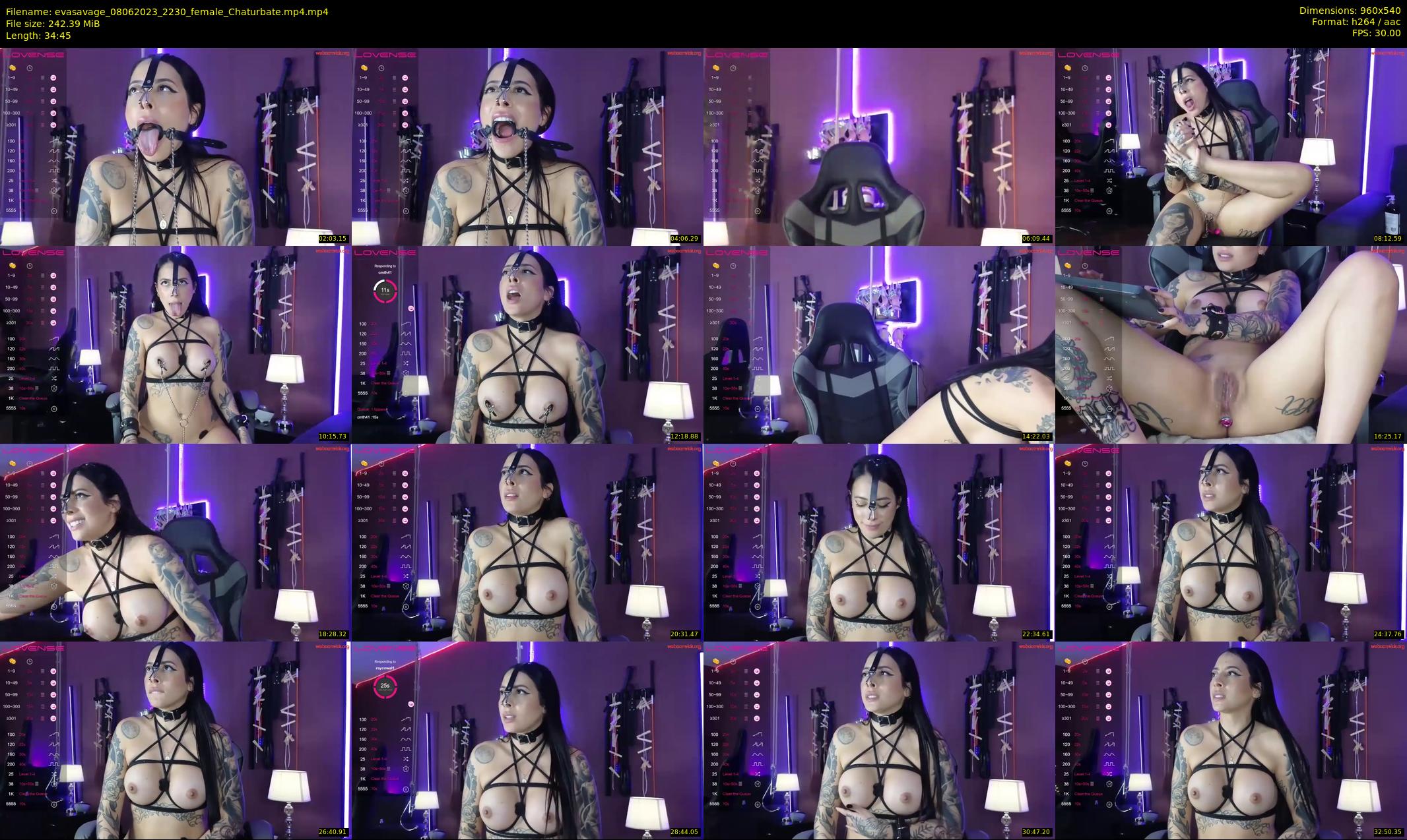evasavage — 35 minute Chaturbate female cam show recording, 480p, Jun 8, 2023