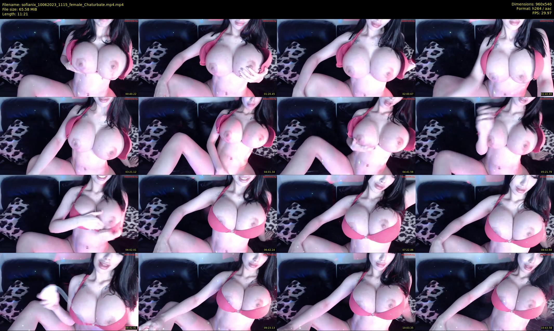 sofianix — 12 minute Chaturbate female cam show recording, 480p, Jun 10, 2023