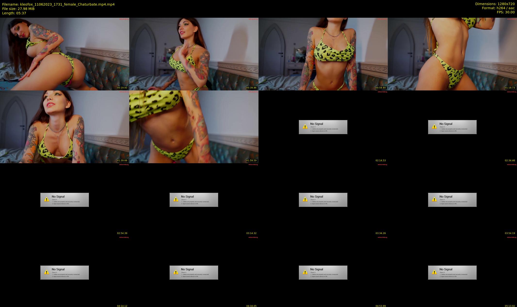 kleofox — 6 minute Chaturbate female cam show recording, 720p, Jun 11, 2023