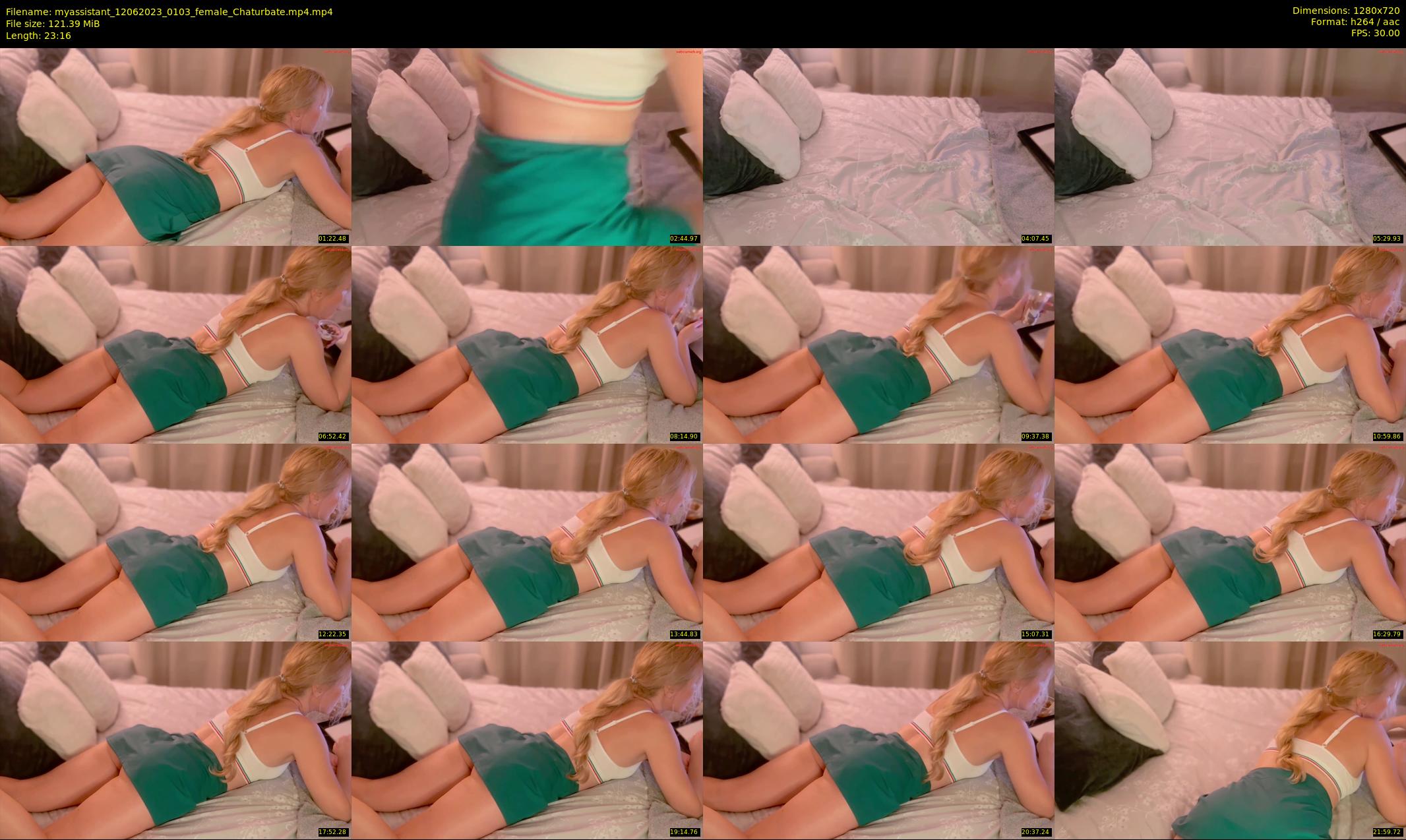 myassistant — 24 minute Chaturbate female cam show recording, 720p, Jun 12, 2023