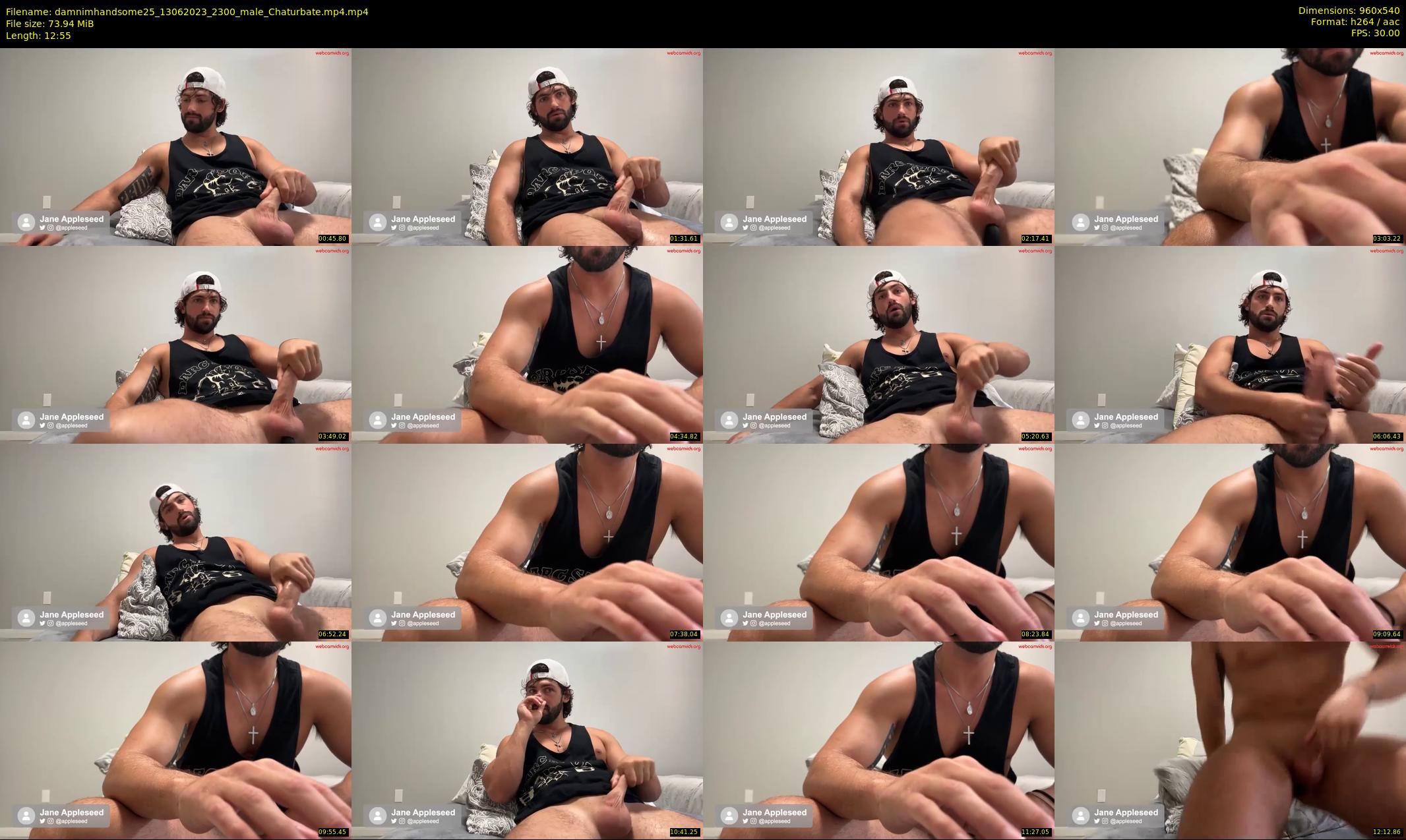 damnimhandsome25 — 13 minute Chaturbate male cam show recording, 480p, Jun 13, 2023