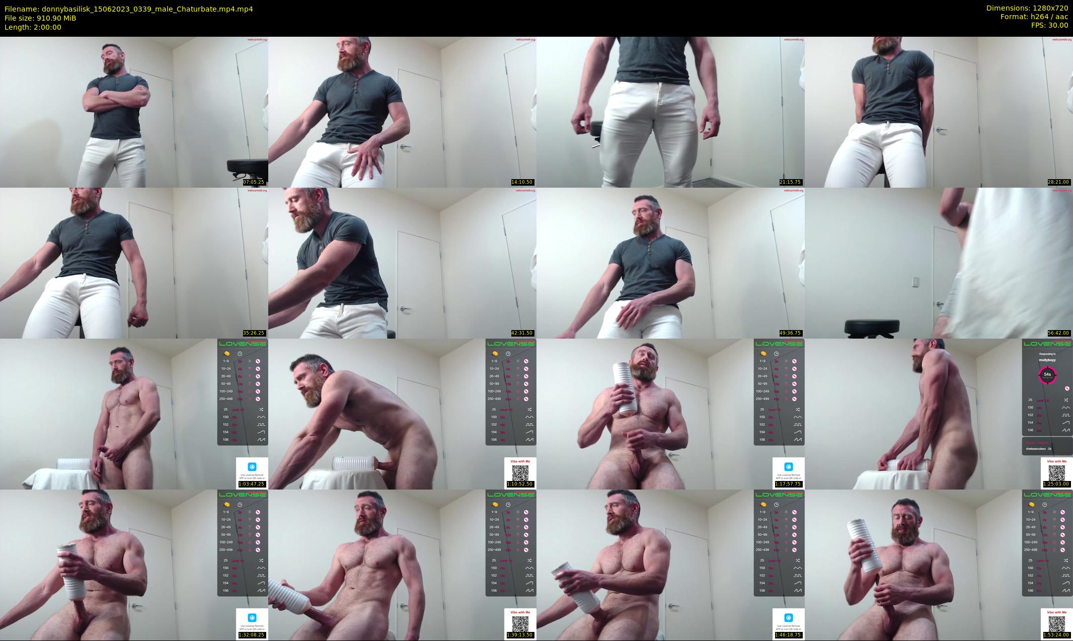 donnybasilisk — 120 minute Chaturbate male cam show recording, 720p, Jun 15, 2023