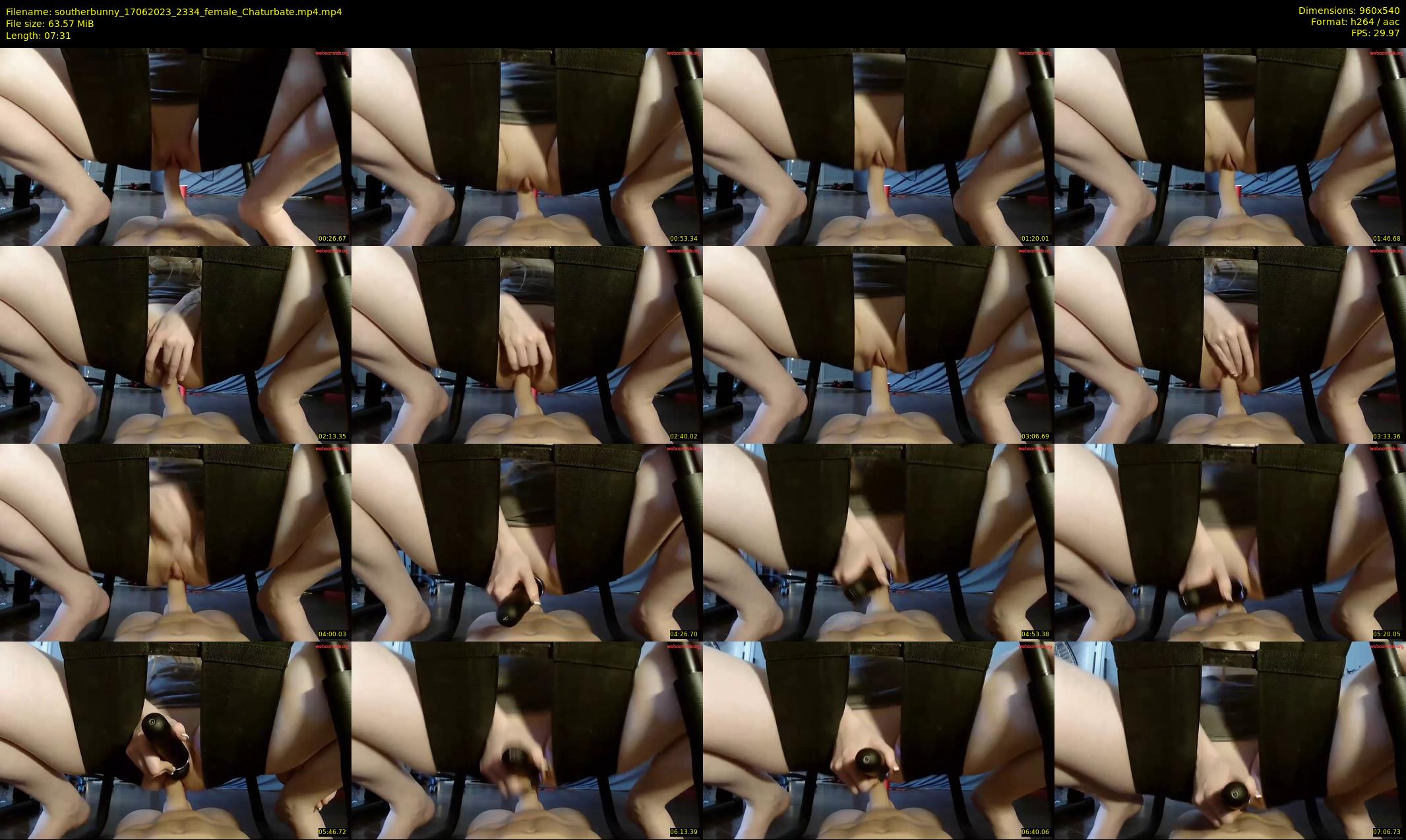 southerbunny — 8 minute Chaturbate female cam show recording, 480p, Jun 17, 2023