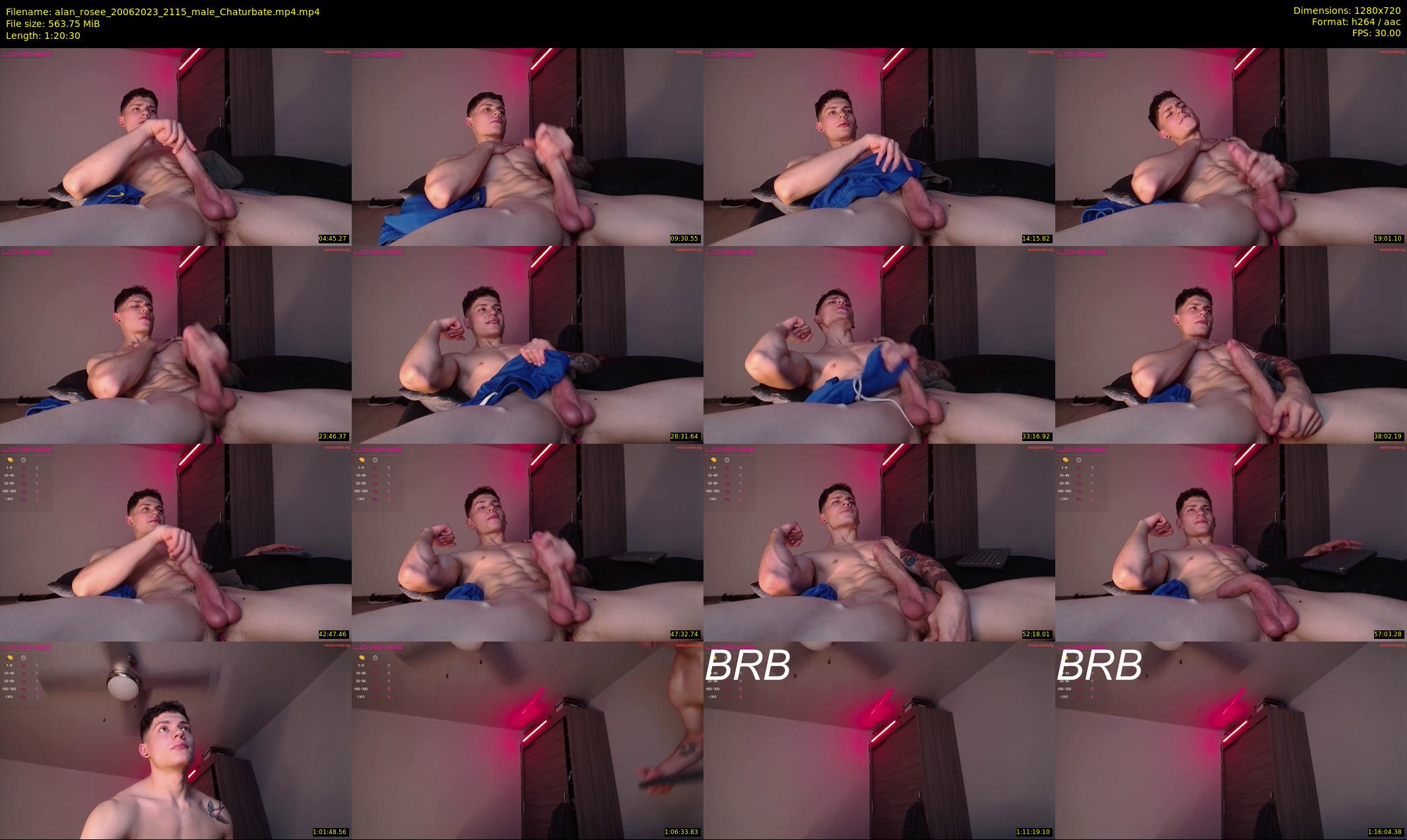 alan_rosee — 81 minute Chaturbate male cam show recording, 720p, Jun 20, 2023
