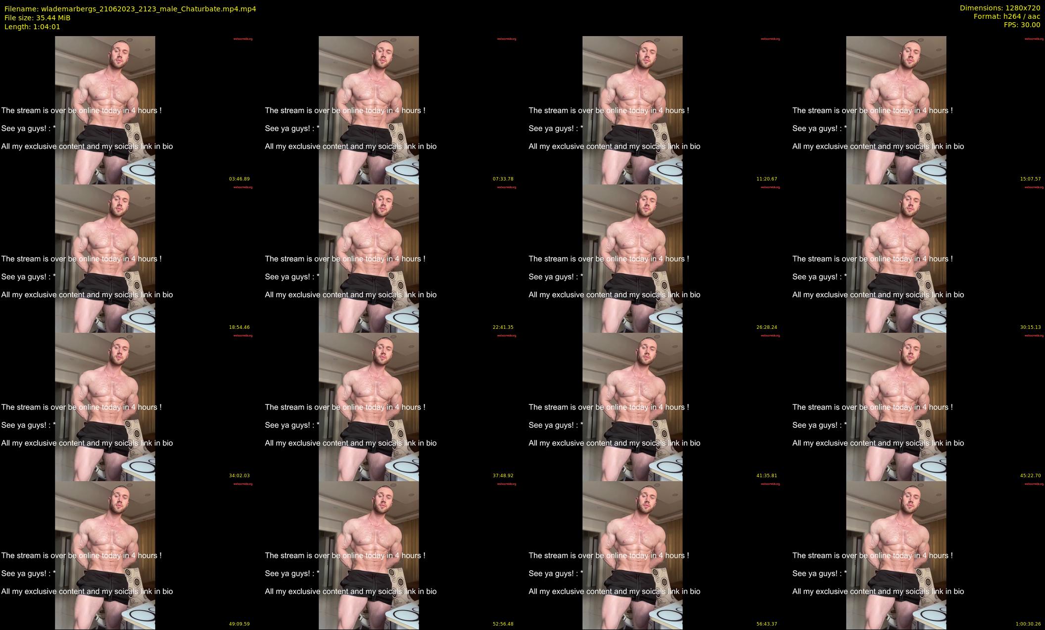 wlademarbergs — 65 minute Chaturbate male cam show recording, 720p, Jun 21, 2023