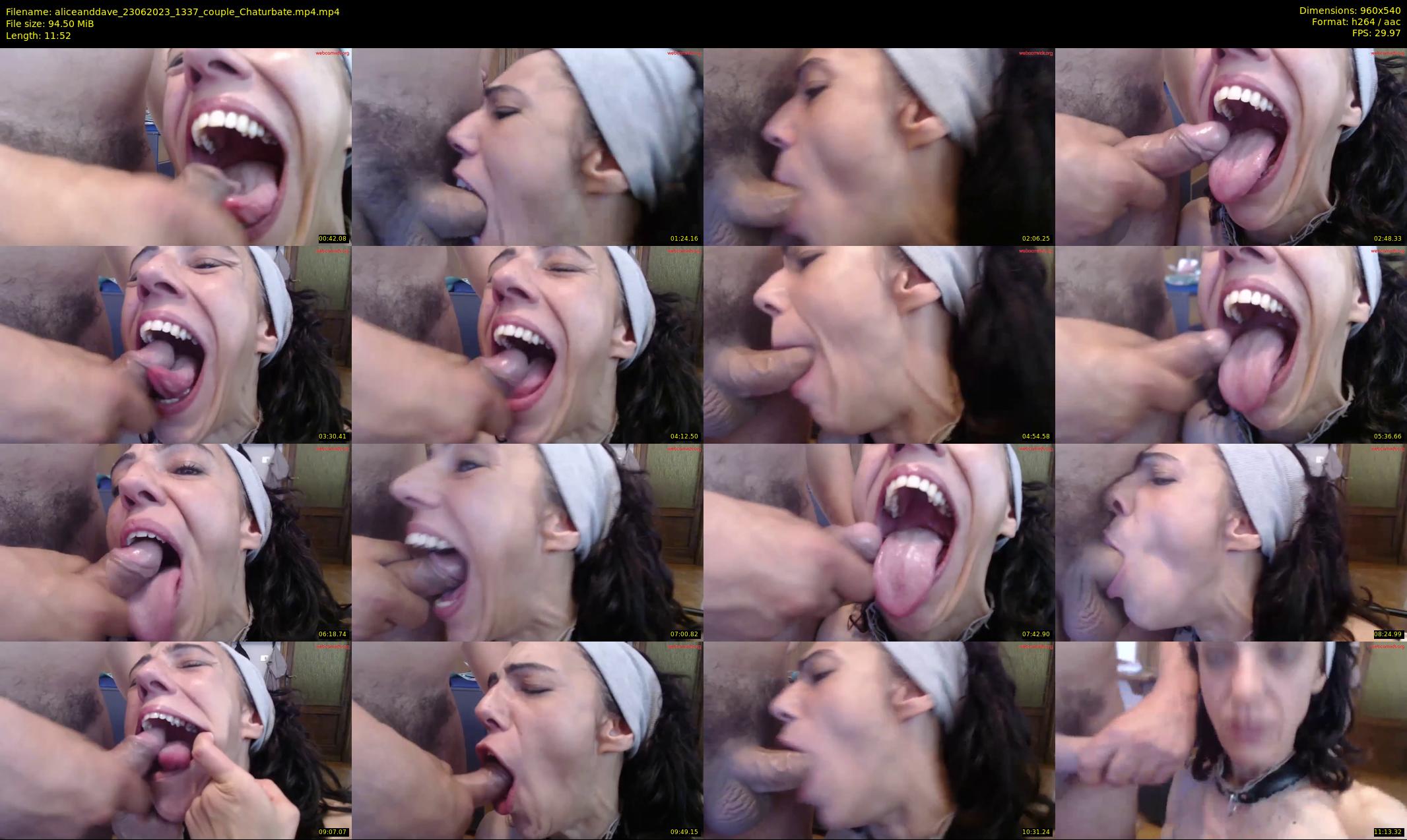 aliceanddave — 12 minute Chaturbate couple cam show recording, 480p, Jun 23, 2023