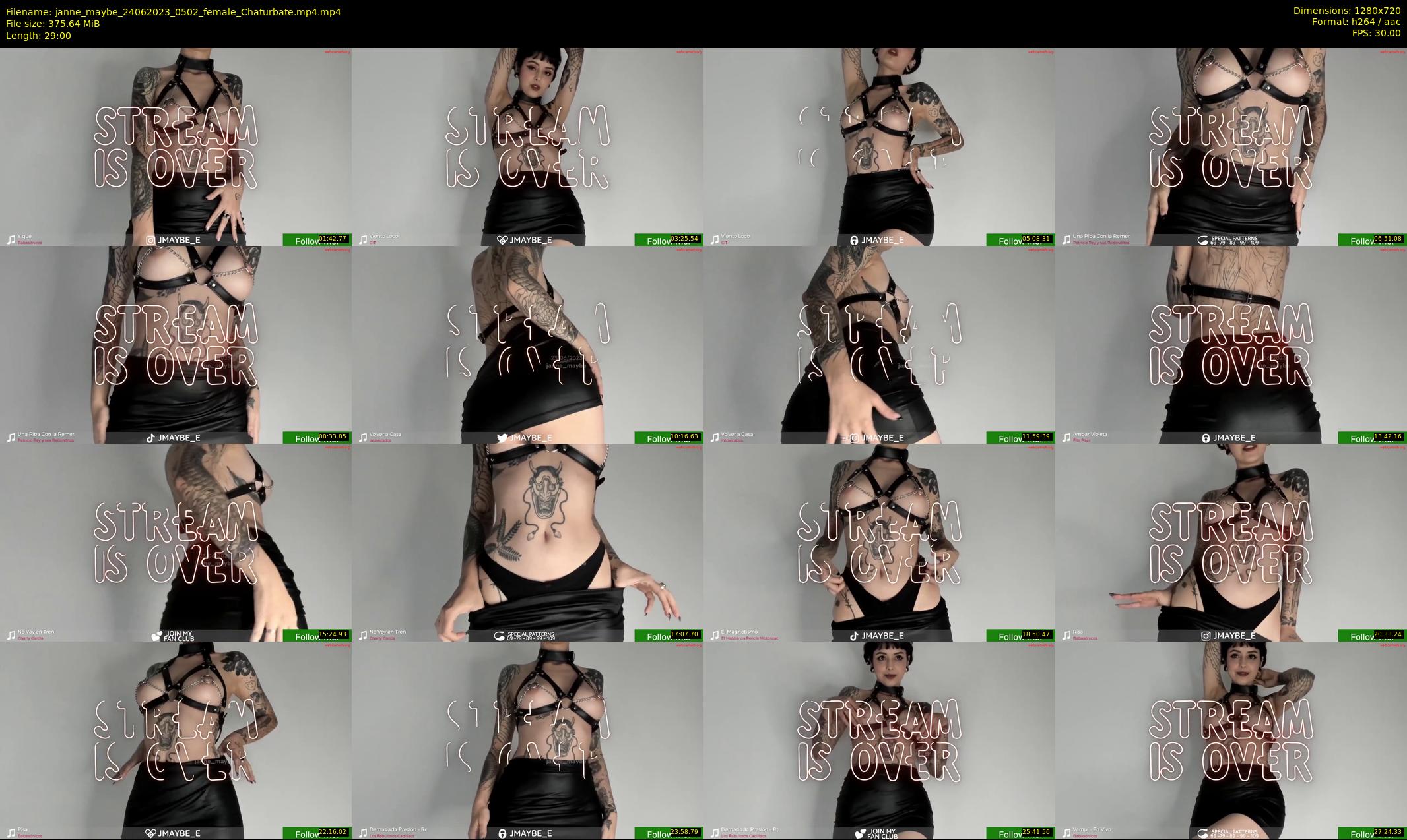 janne_maybe — 29 minute Chaturbate female cam show recording, 720p, Jun 24, 2023