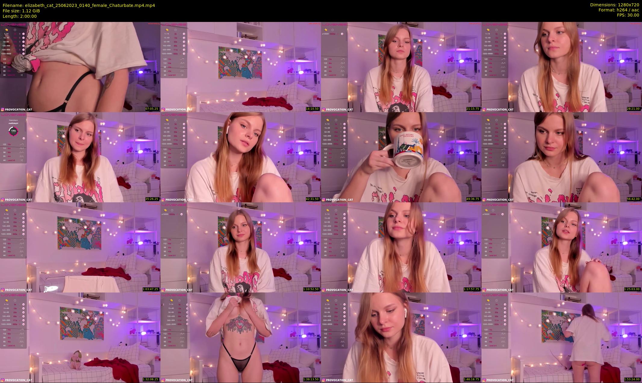 elizabeth_cat — 120 minute Chaturbate female cam show recording, 720p, Jun 25, 2023