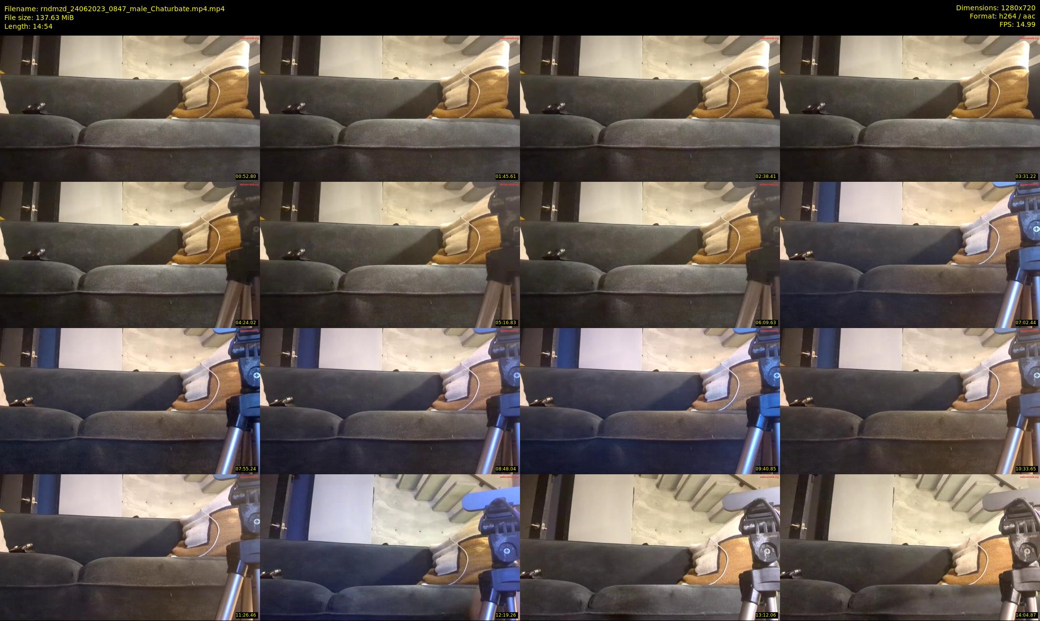 rndmzd — 15 minute Chaturbate male cam show recording, 720p, Jun 24, 2023