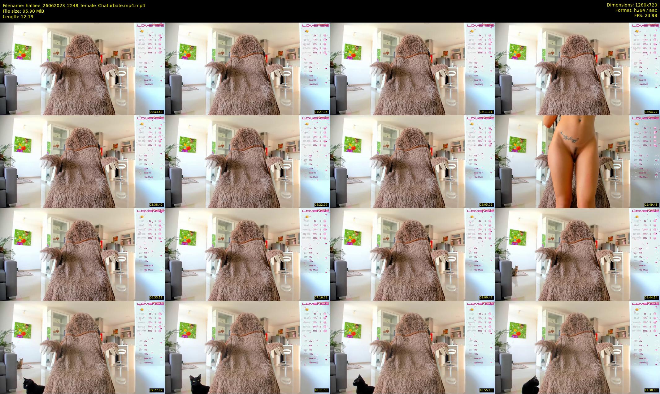 halliee — 13 minute Chaturbate couple cam show recording, 720p, Jun 26, 2023