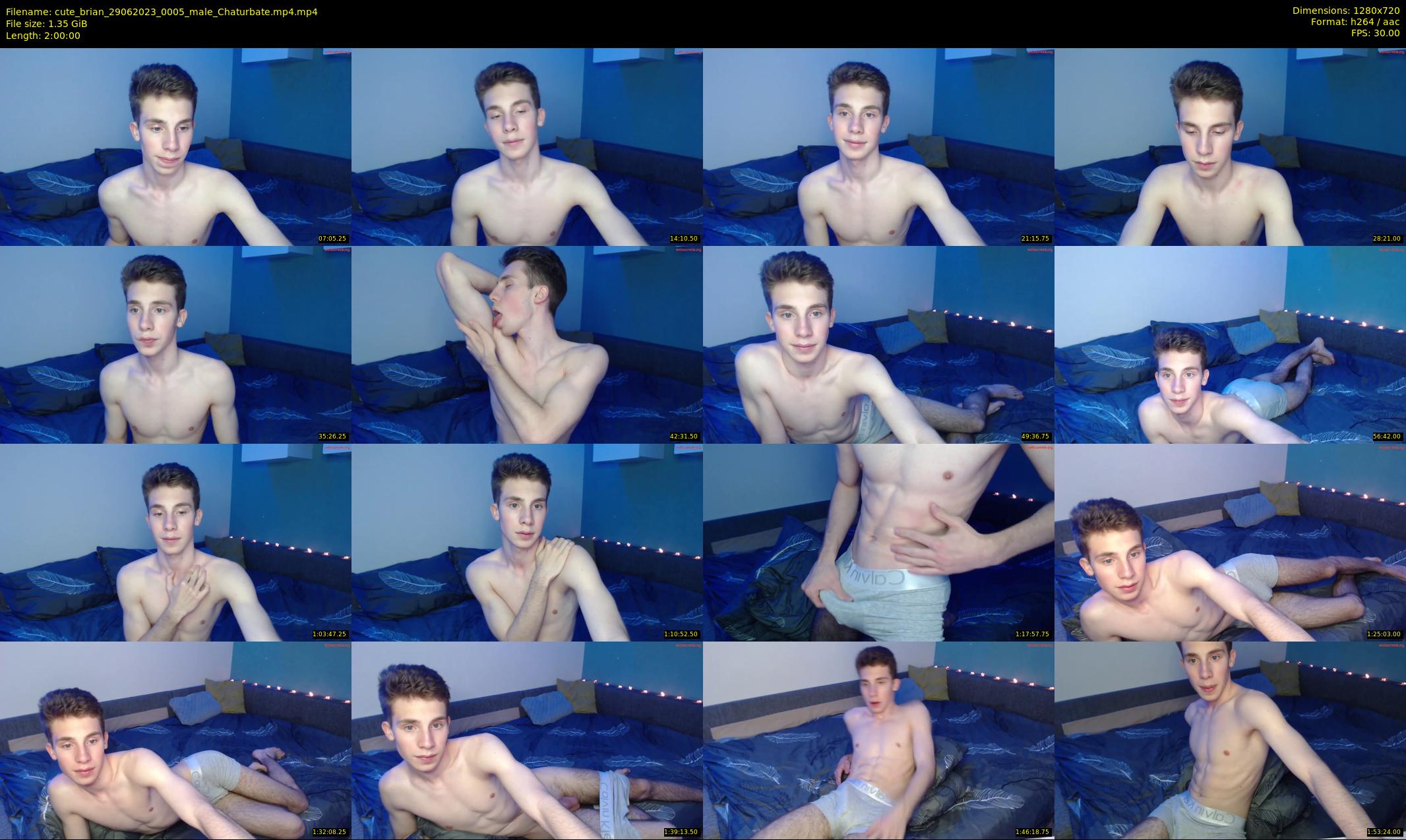 cute_brian — 120 minute Chaturbate male cam show recording, 720p, Jun 29, 2023