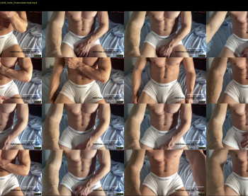bestdick1991 — 9 minute Chaturbate male cam show recording, 720p, Jun 29, 2023