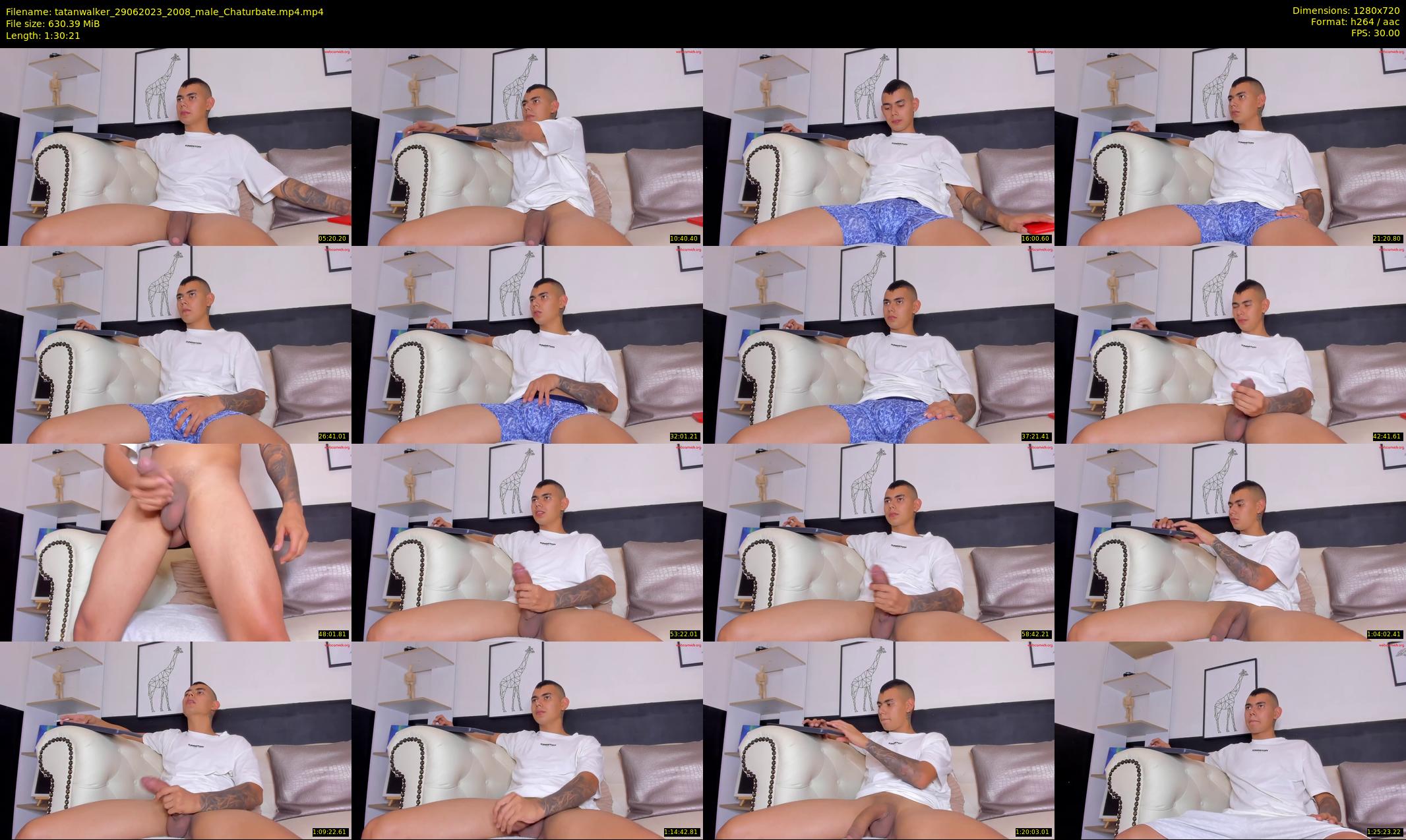 tatanwalker — 91 minute Chaturbate male cam show recording, 720p, Jun 29, 2023