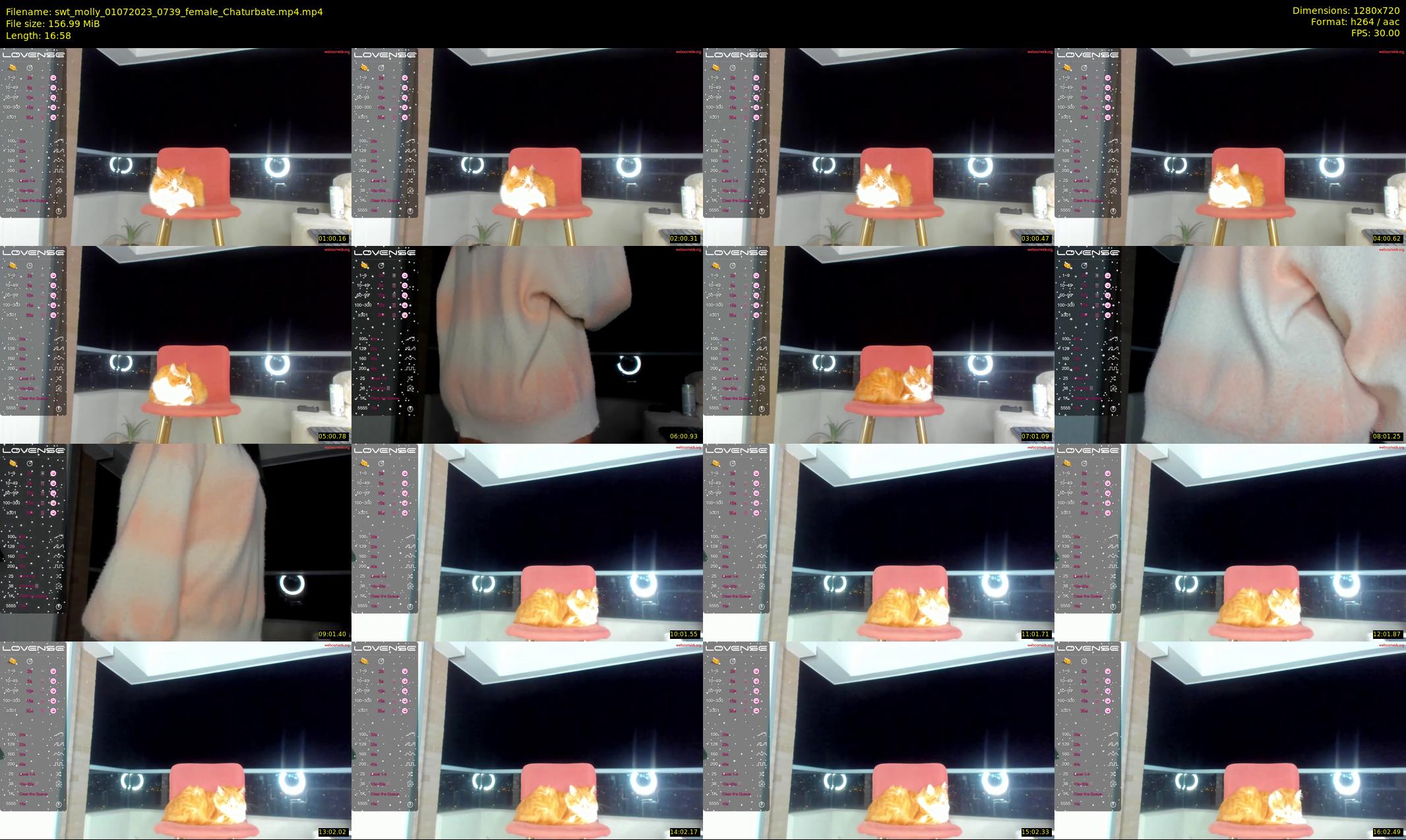 swt_molly — 17 minute Chaturbate female cam show recording, 720p, Jul 1, 2023