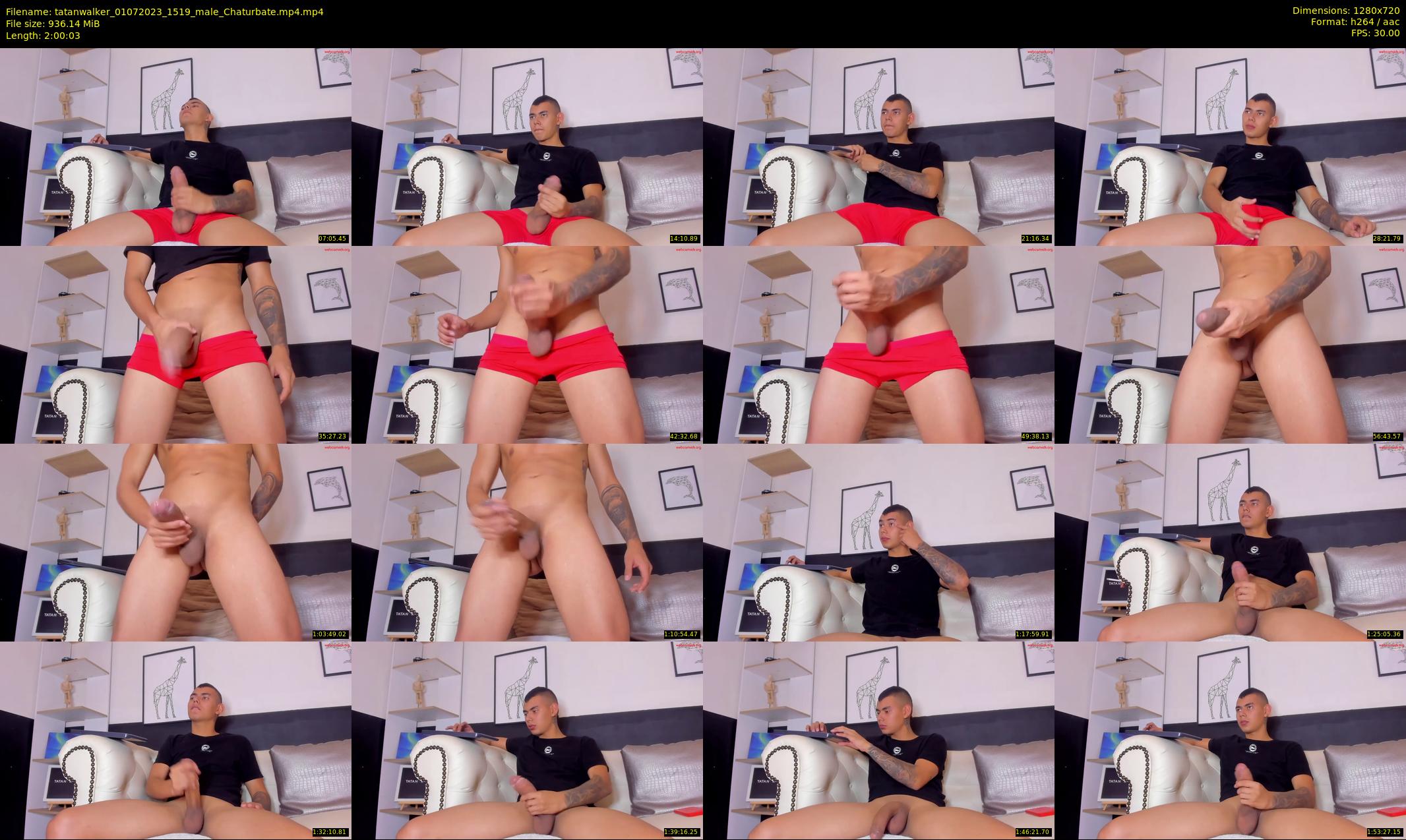 tatanwalker — 121 minute Chaturbate male cam show recording, 720p, Jul 1, 2023
