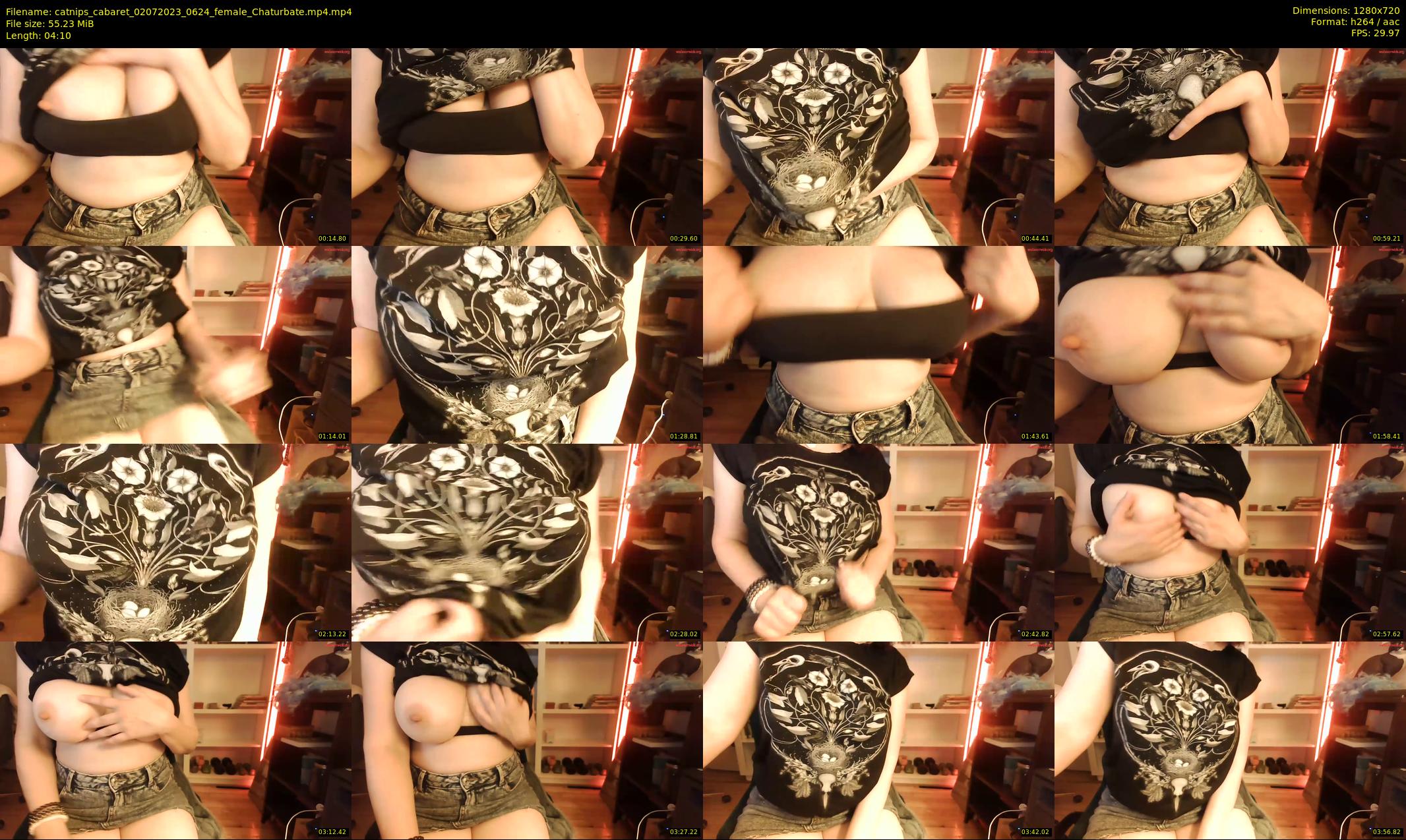 catnips_cabaret — 5 minute Chaturbate female cam show recording, 720p, Jul 2, 2023
