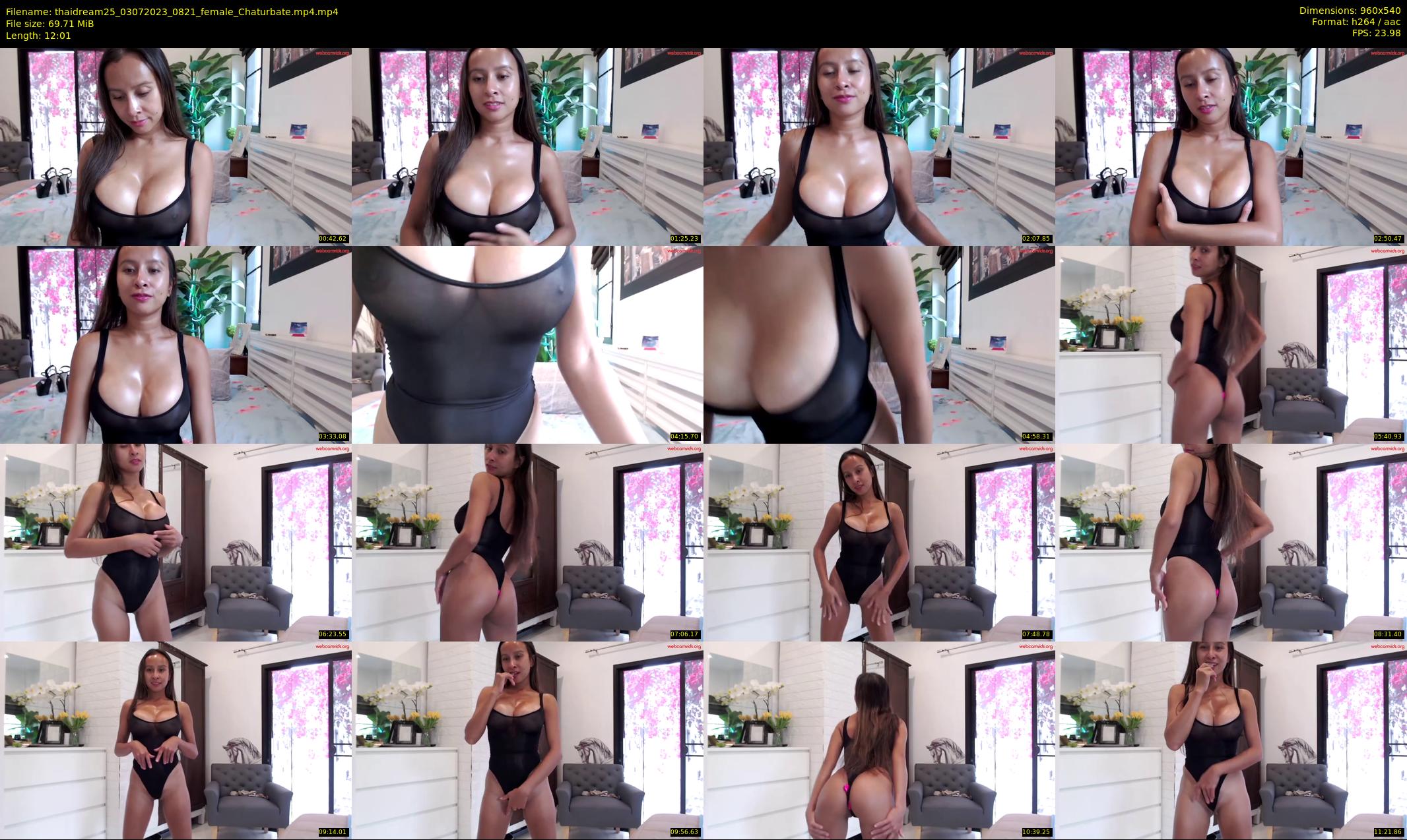 thaidream25 — 13 minute Chaturbate female cam show recording, 480p, Jul 3, 2023