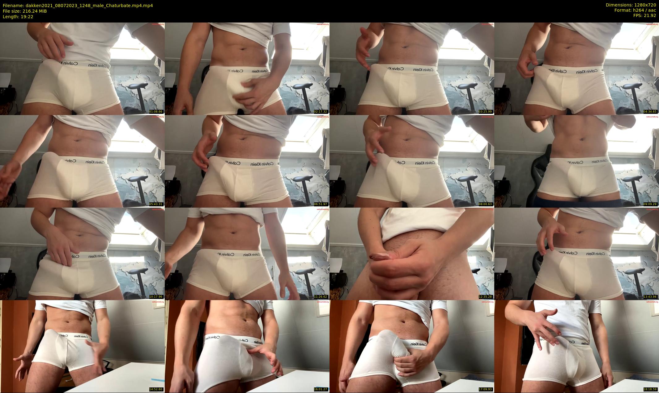 dakken2021 — 20 minute Chaturbate male cam show recording, 720p, Jul 8, 2023