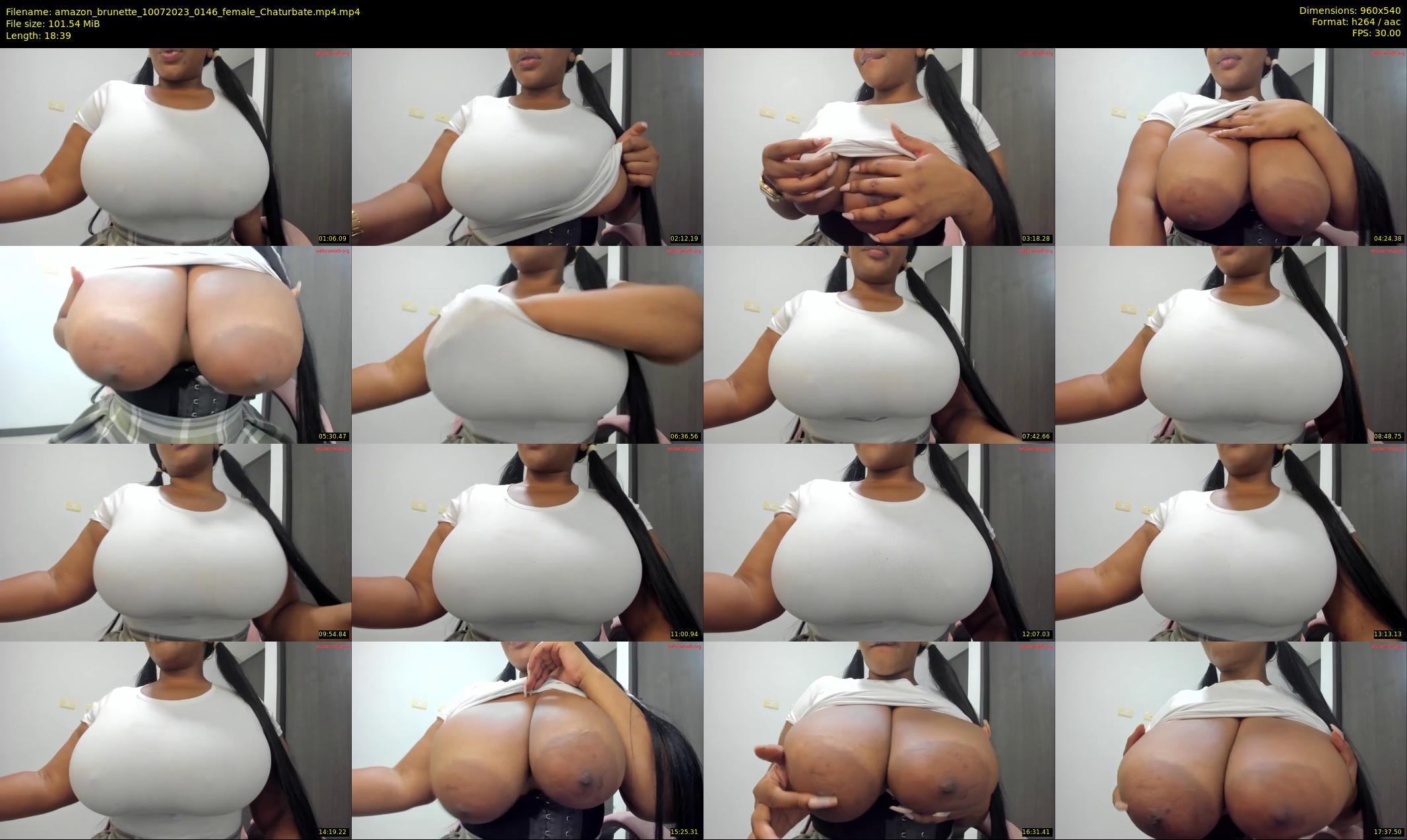 amazon_brunette — 19 minute Chaturbate female cam show recording, 480p, Jul 10, 2023
