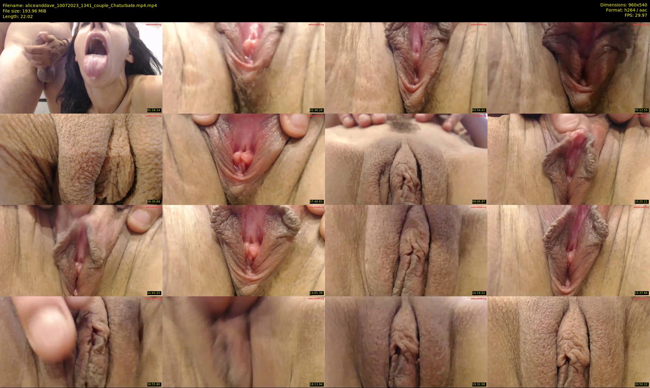 aliceanddave — 23 minute Chaturbate couple cam show recording, 480p, Jul 10, 2023