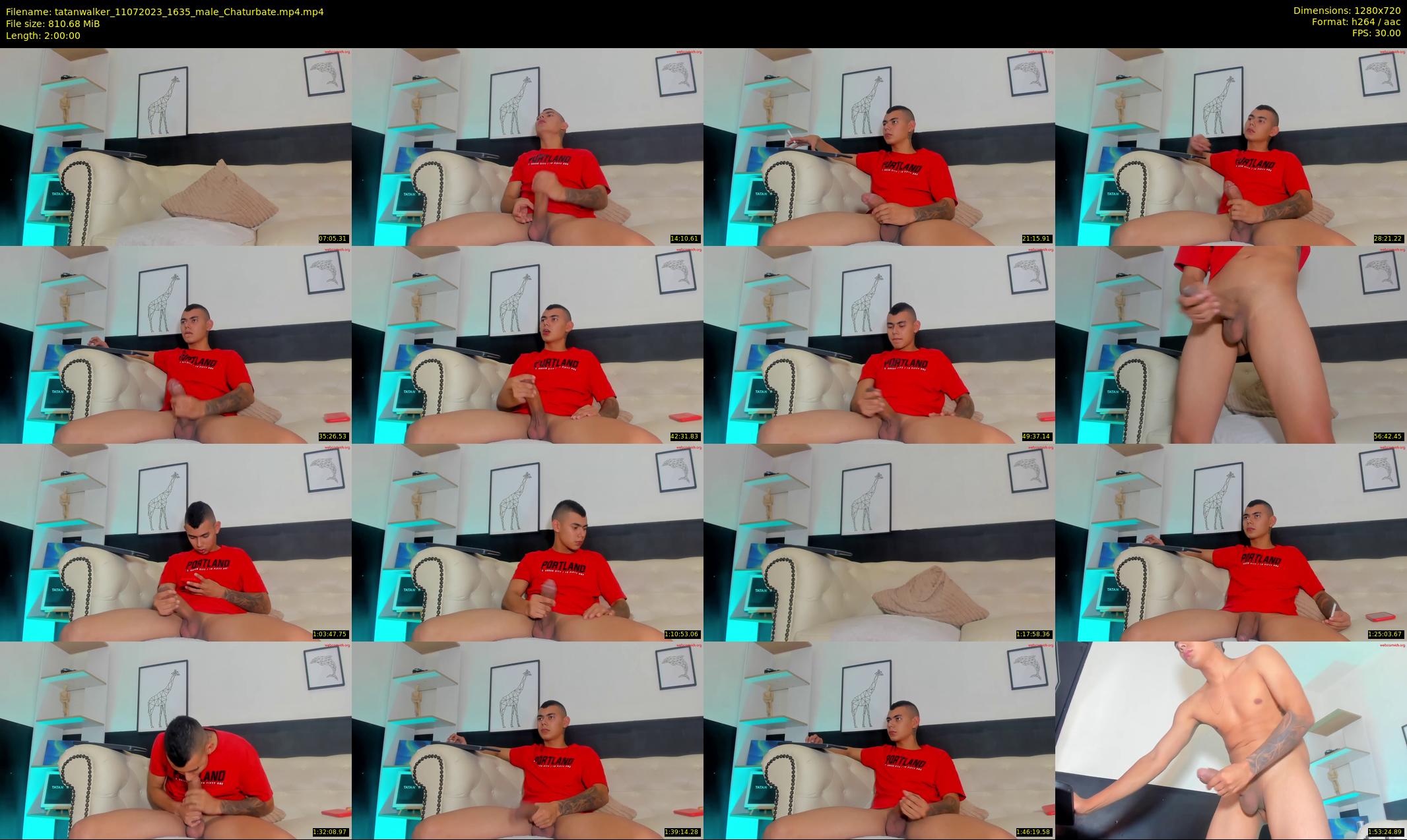 tatanwalker — 120 minute Chaturbate male cam show recording, 720p, Jul 11, 2023
