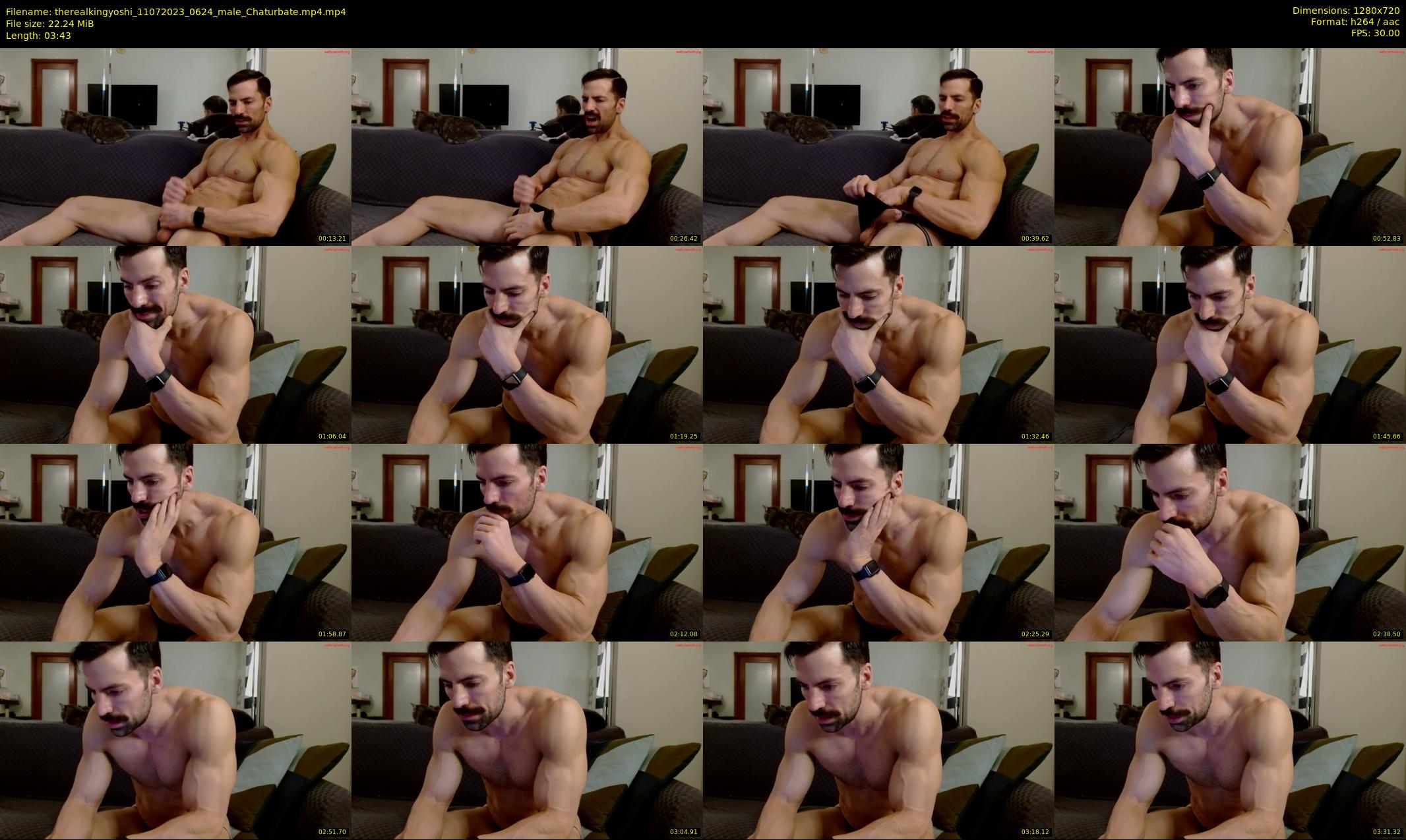 therealkingyoshi — 4 minute Chaturbate male cam show recording, 720p, Jul 11, 2023