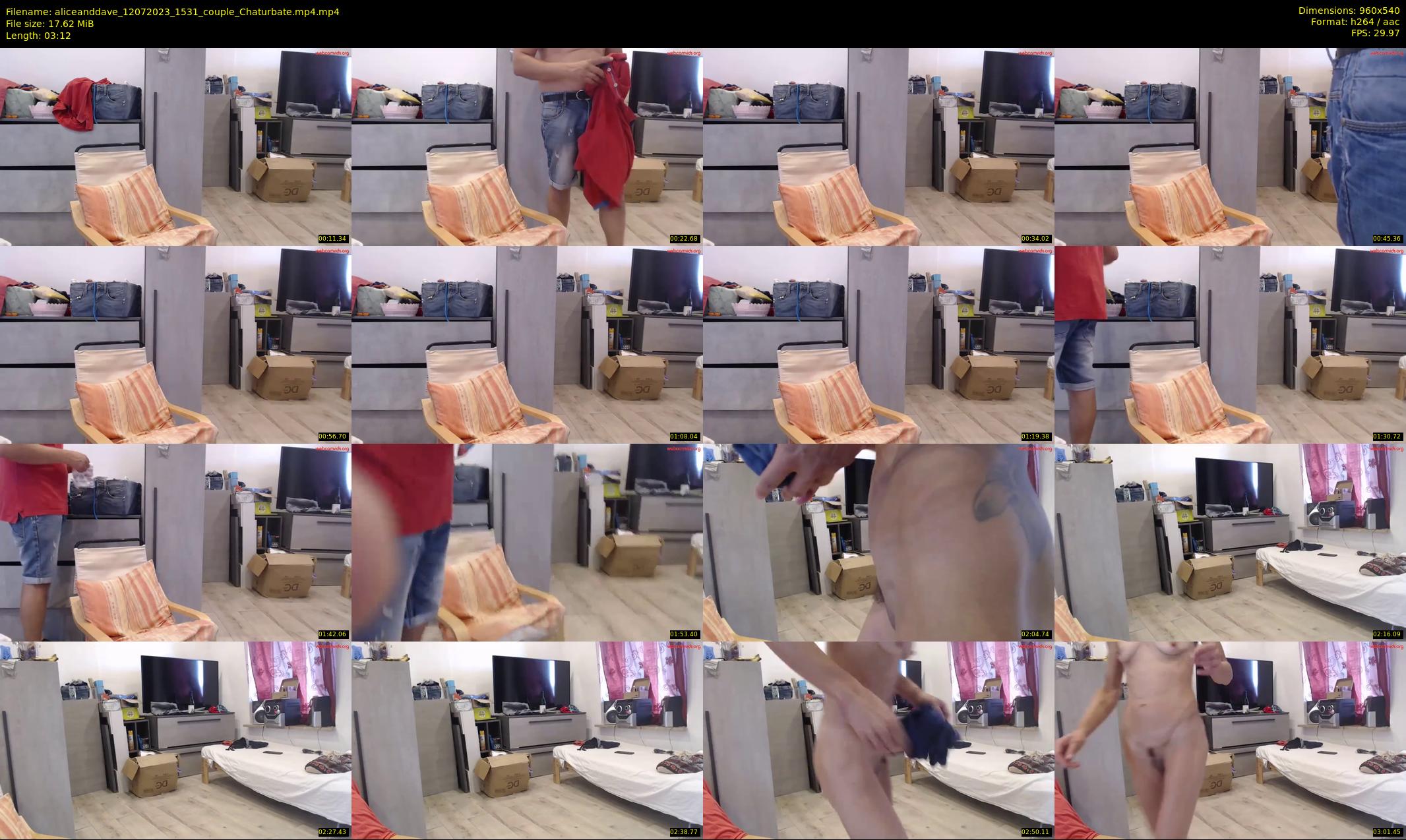 aliceanddave — 4 minute Chaturbate couple cam show recording, 480p, Jul 12, 2023