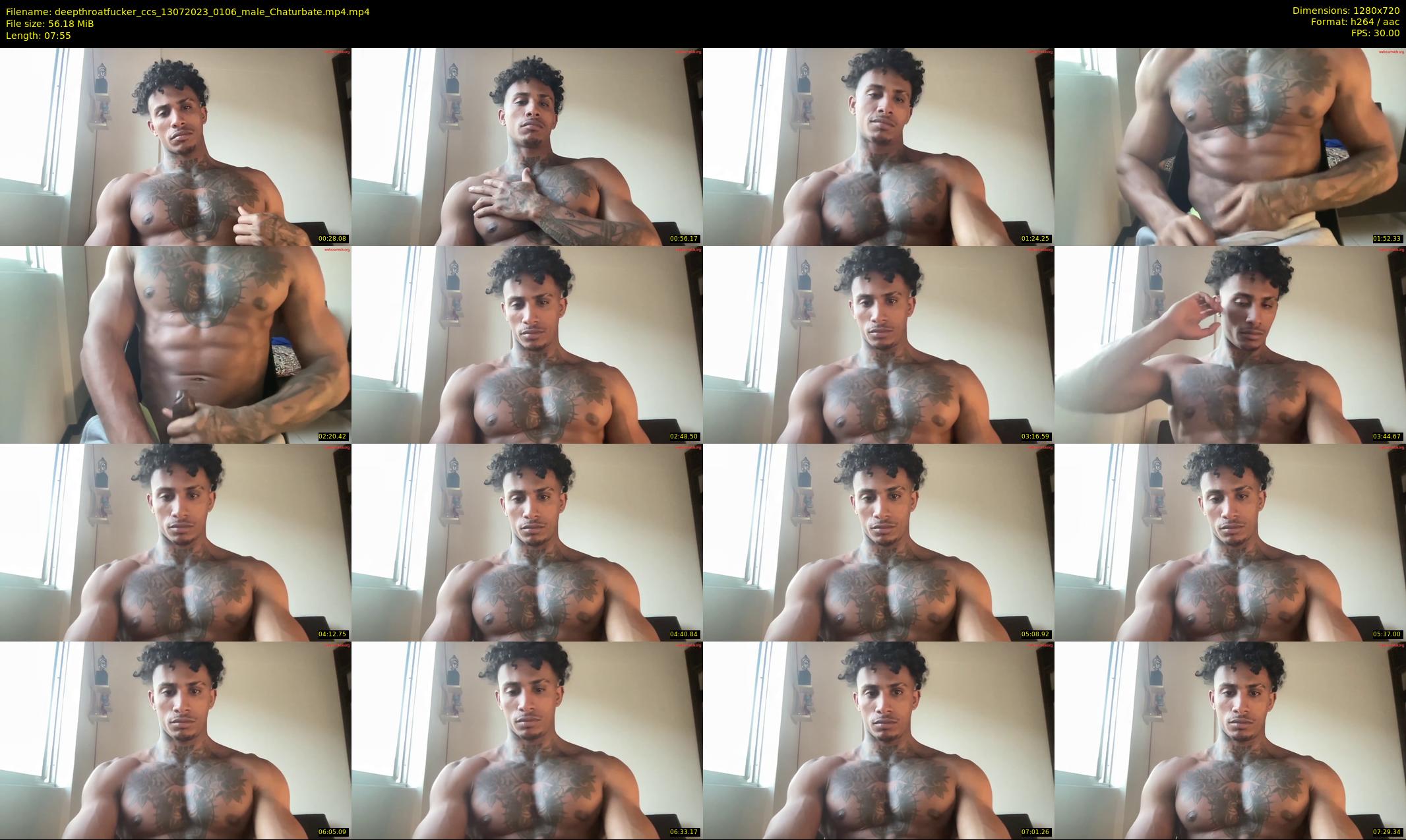 deepthroatfucker_ccs — 8 minute Chaturbate male cam show recording, 720p, Jul 13, 2023