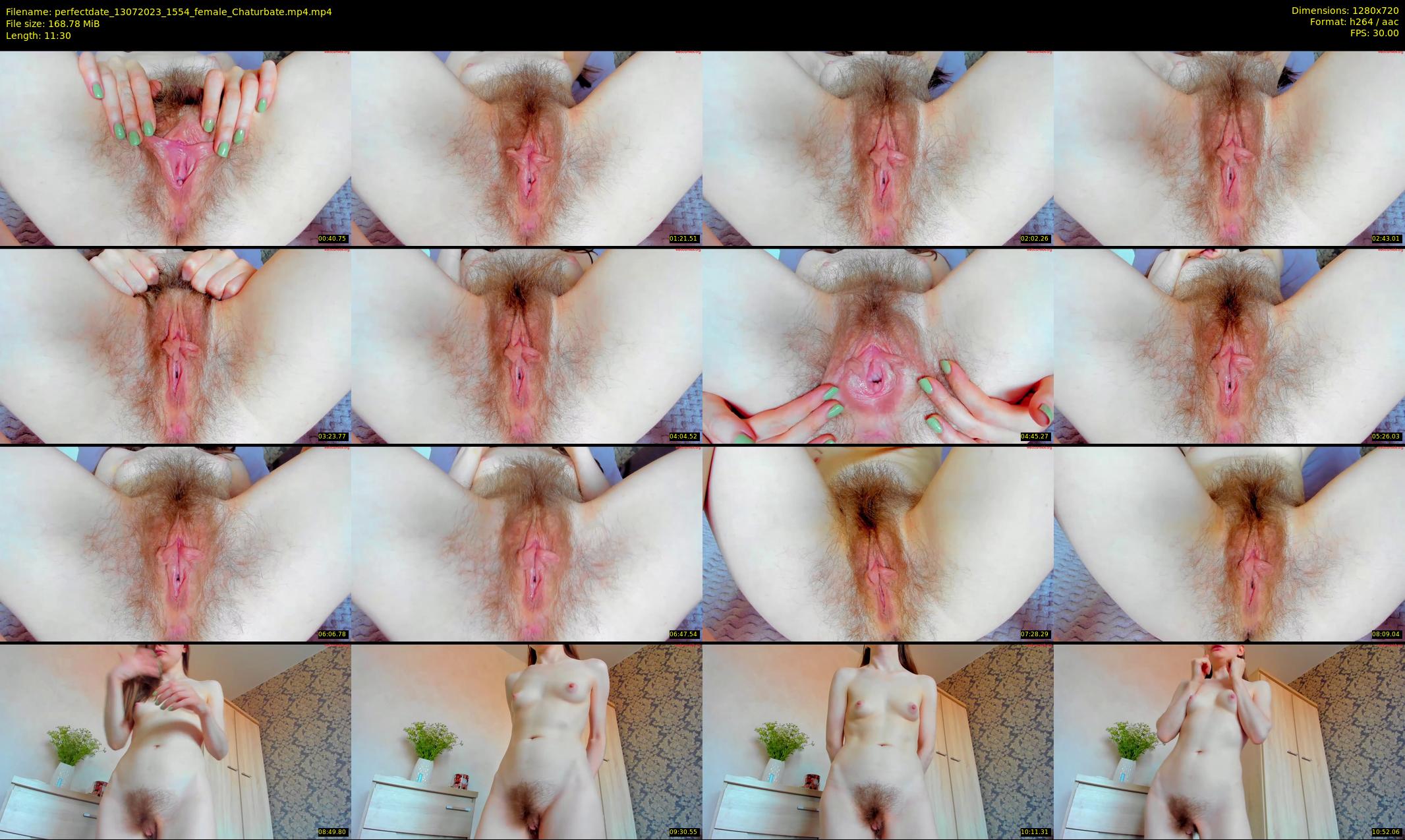 perfectdate — 12 minute Chaturbate female cam show recording, 720p, Jul 13, 2023