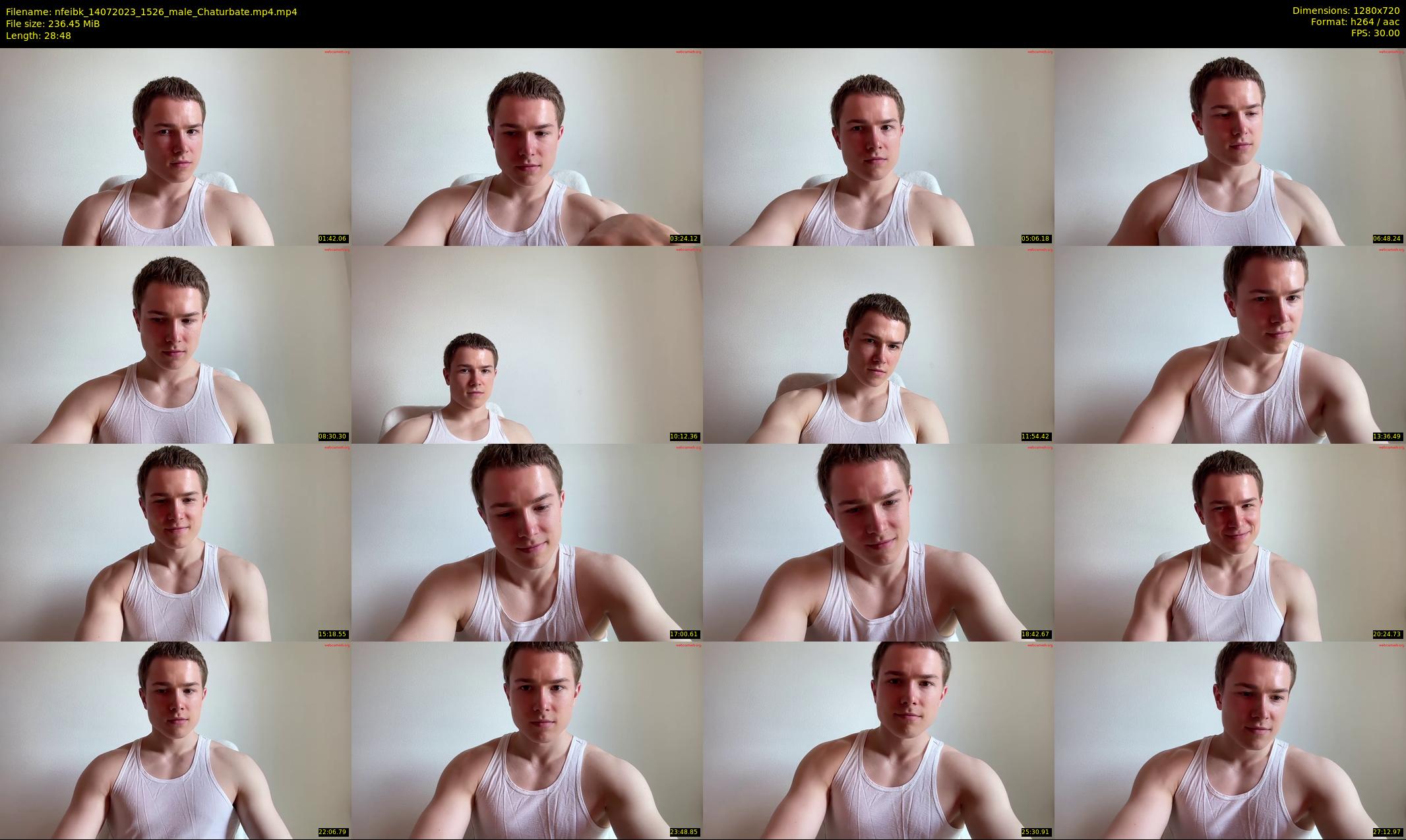 nfeibk — 29 minute Chaturbate male cam show recording, 720p, Jul 14, 2023