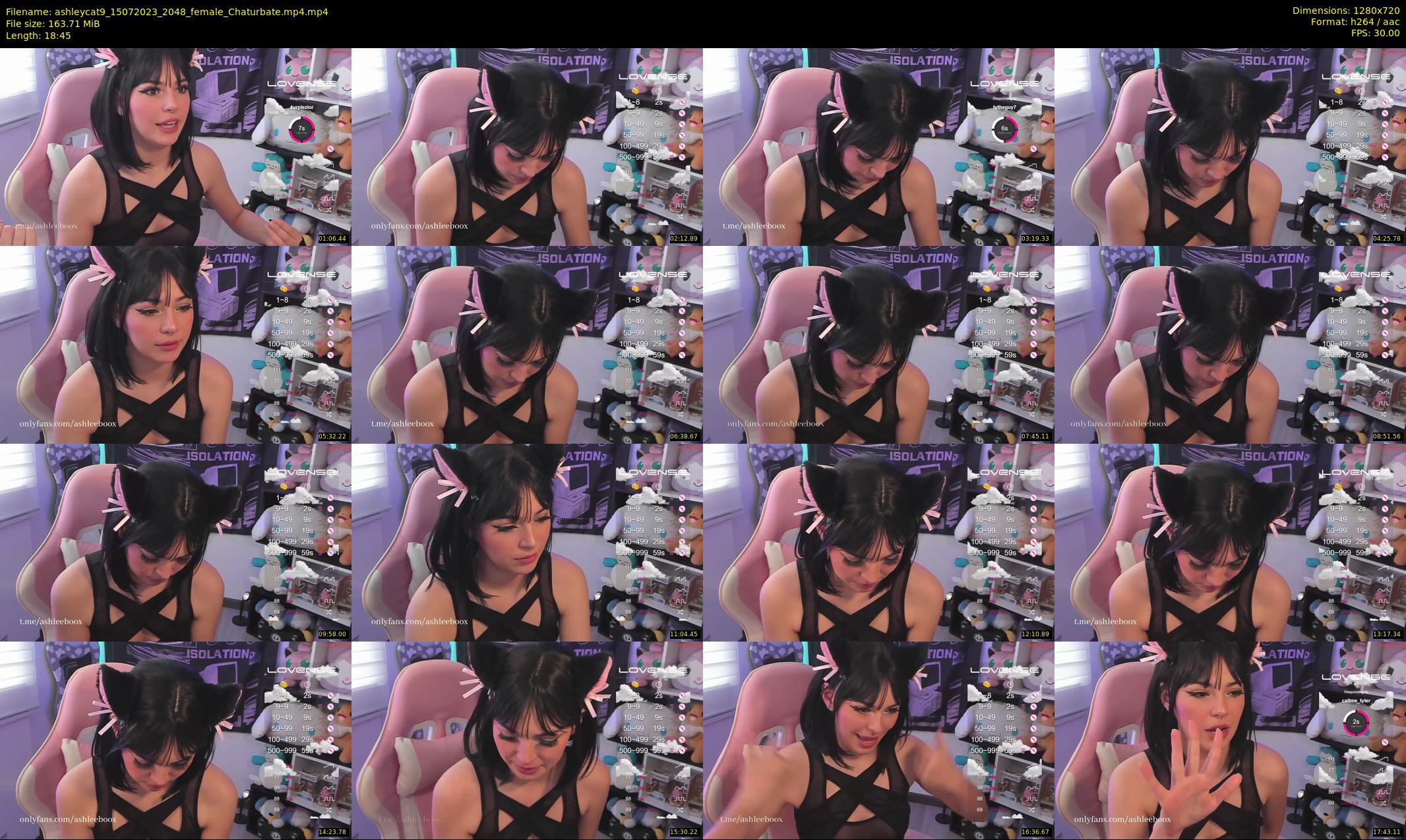 ashleycat9 — 19 minute Chaturbate female cam show recording, 720p, Jul 15, 2023