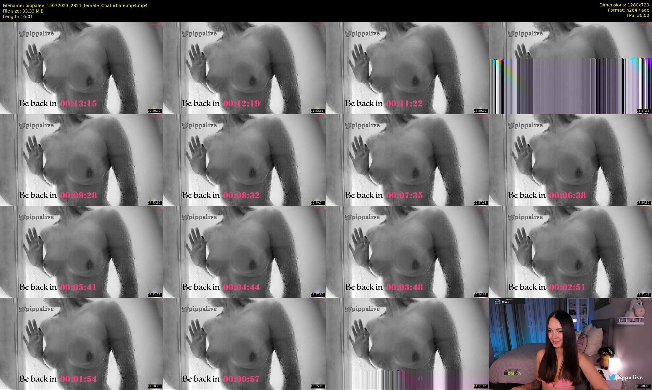 pippalee — 17 minute Chaturbate female cam show recording, 720p, Jul 15, 2023
