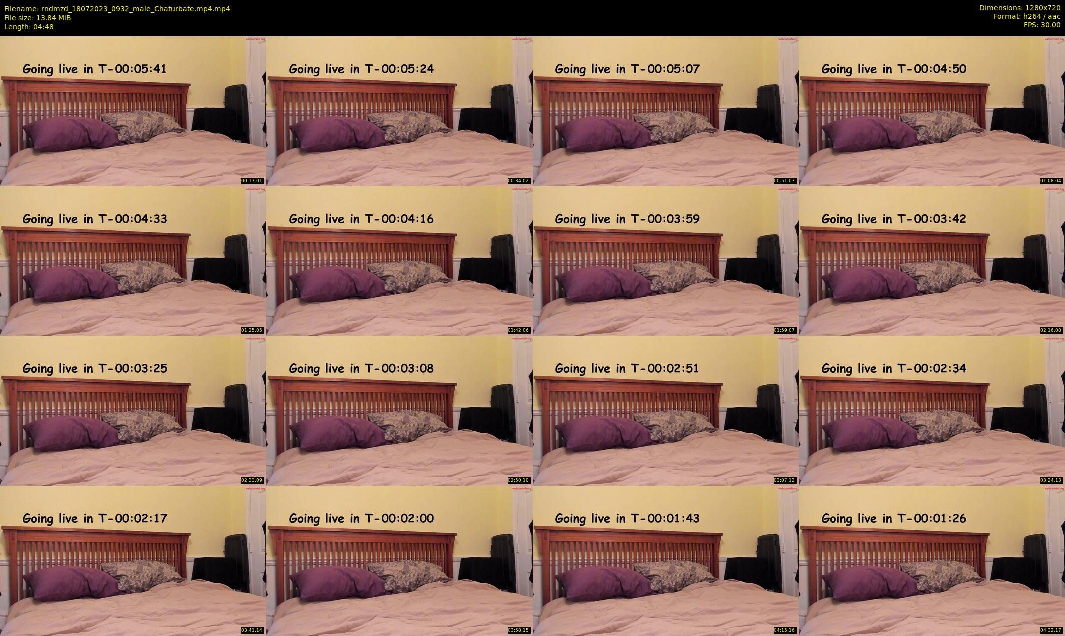 rndmzd — 5 minute Chaturbate male cam show recording, 720p, Jul 18, 2023