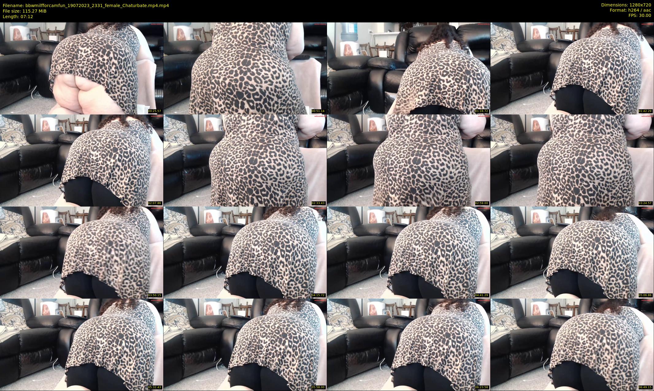 bbwmilfforcamfun — 8 minute Chaturbate female cam show recording, 720p, Jul 19, 2023
