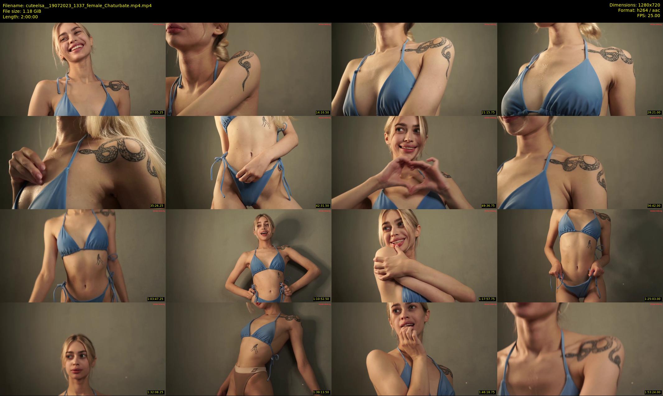 cuteelsa_ — 120 minute Chaturbate female cam show recording, 720p, Jul 19, 2023