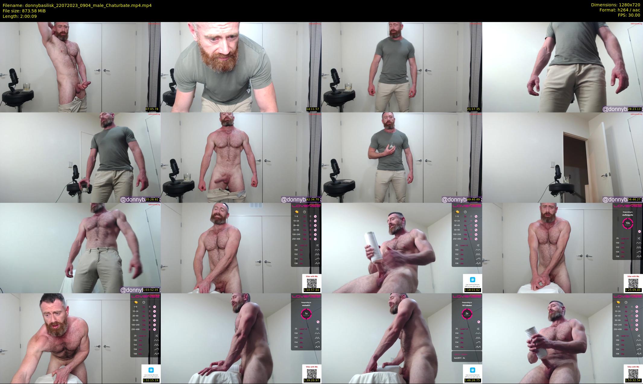 donnybasilisk — 121 minute Chaturbate male cam show recording, 720p, Jul 22, 2023