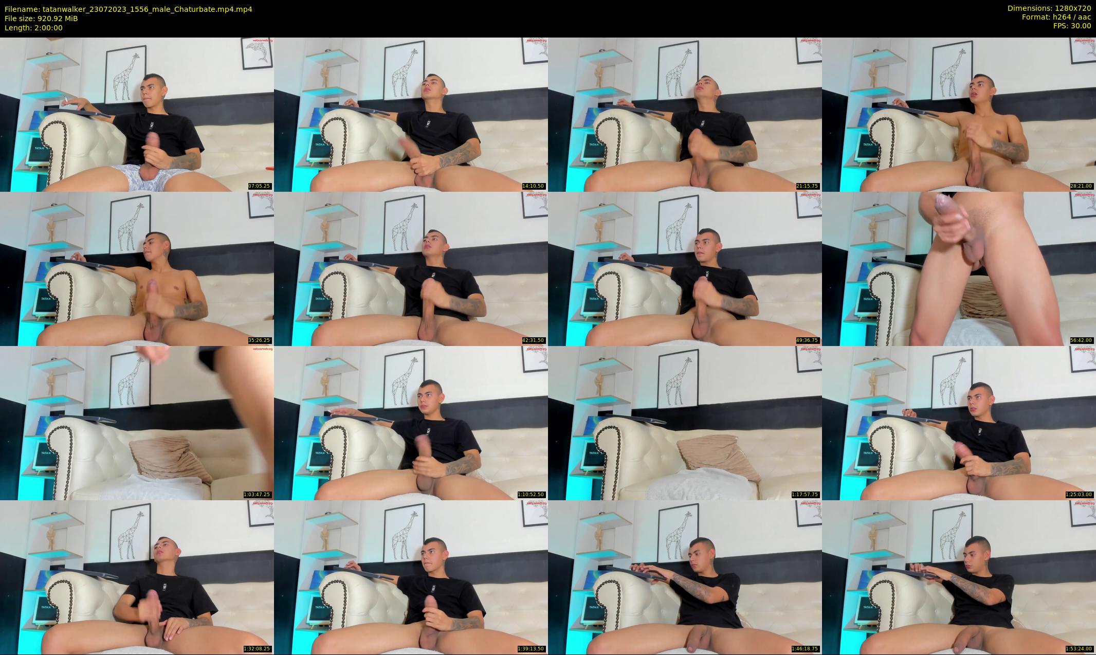 tatanwalker — 120 minute Chaturbate male cam show recording, 720p, Jul 23, 2023