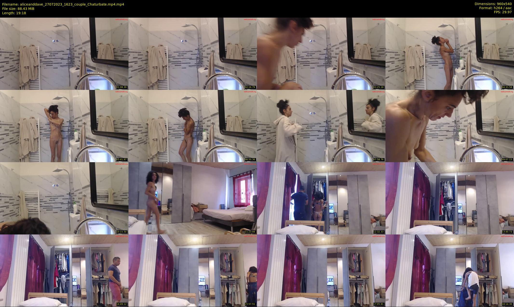 aliceanddave — 20 minute Chaturbate couple cam show recording, 480p, Jul 27, 2023